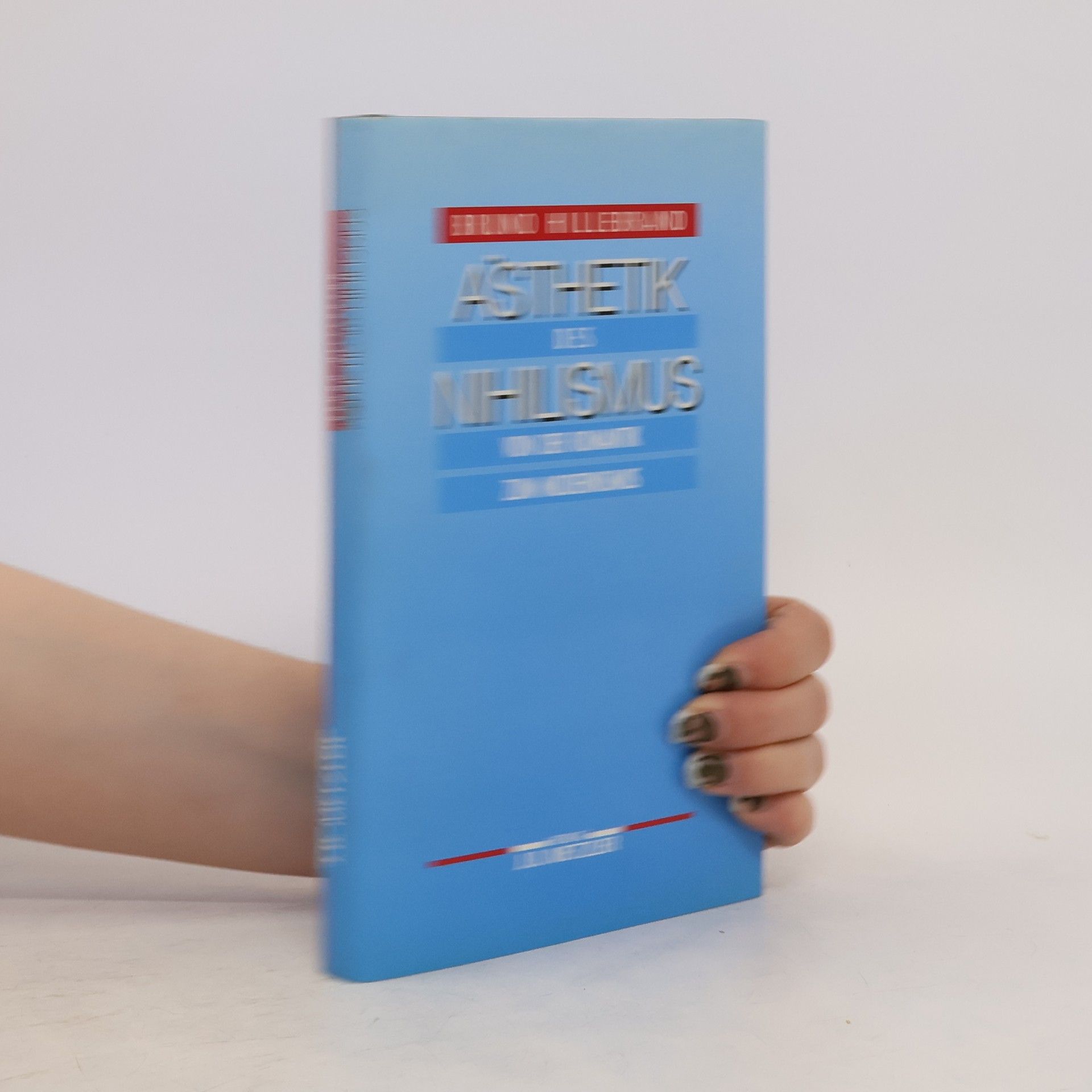 Bruno Hillebrand Ästhetik des Nihilismus