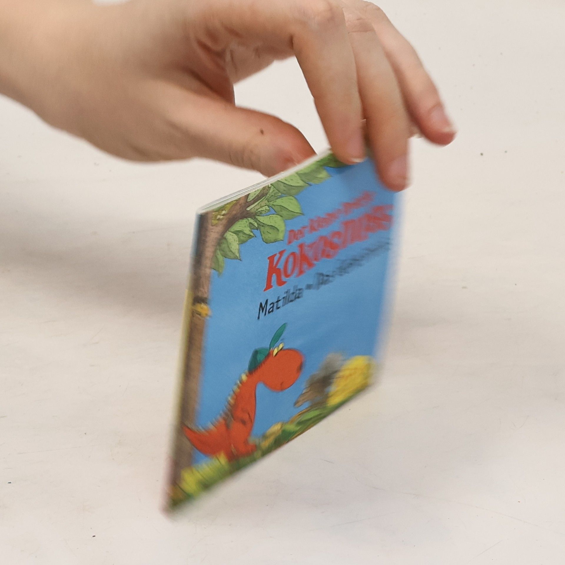 Ingo Seigner Der kleine Drache Kokosnuss. Matilda. Das Geheimnis