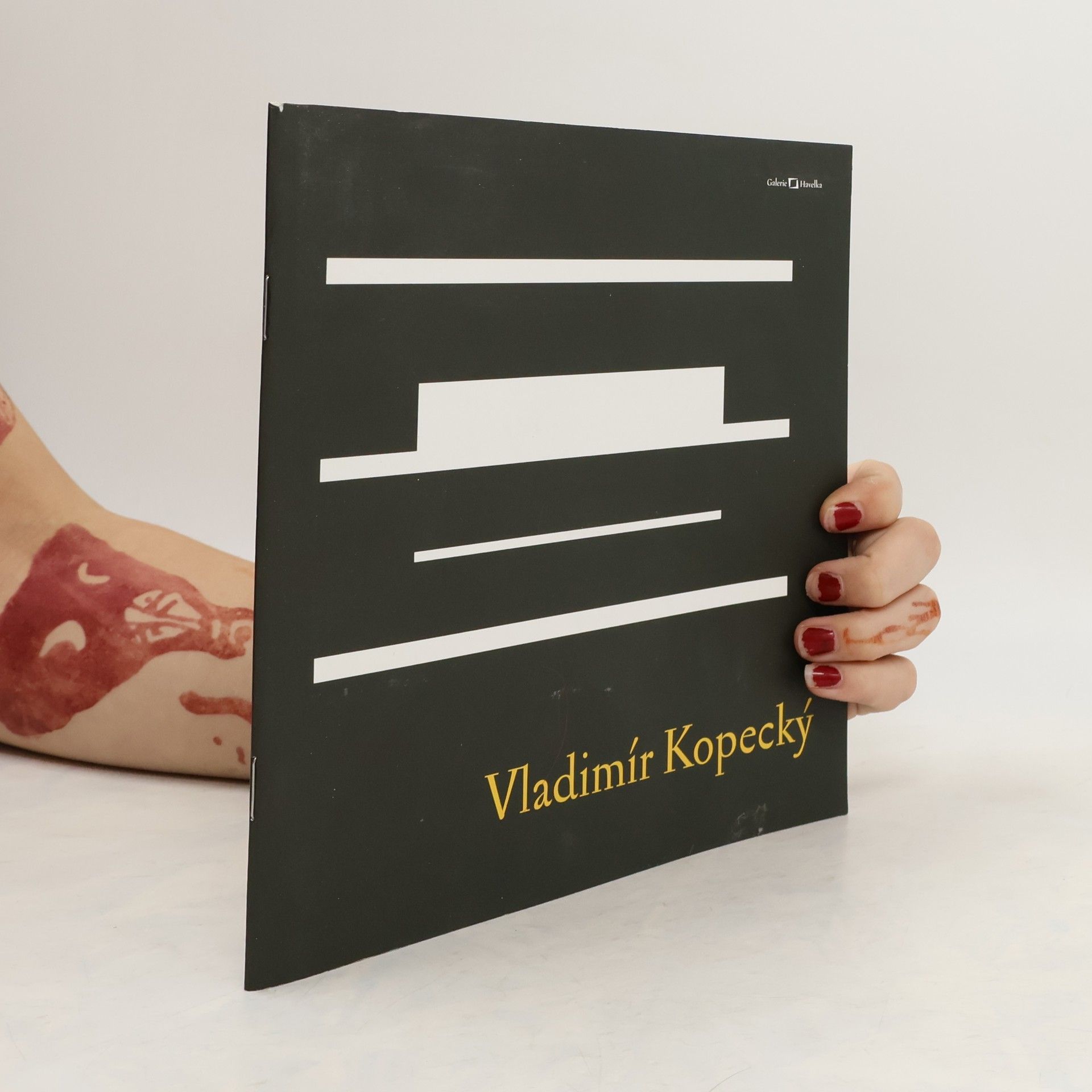 Collectif d'auteurs Vladimír Kopecký : Galerie Havelka 9.11.-9.12.2011