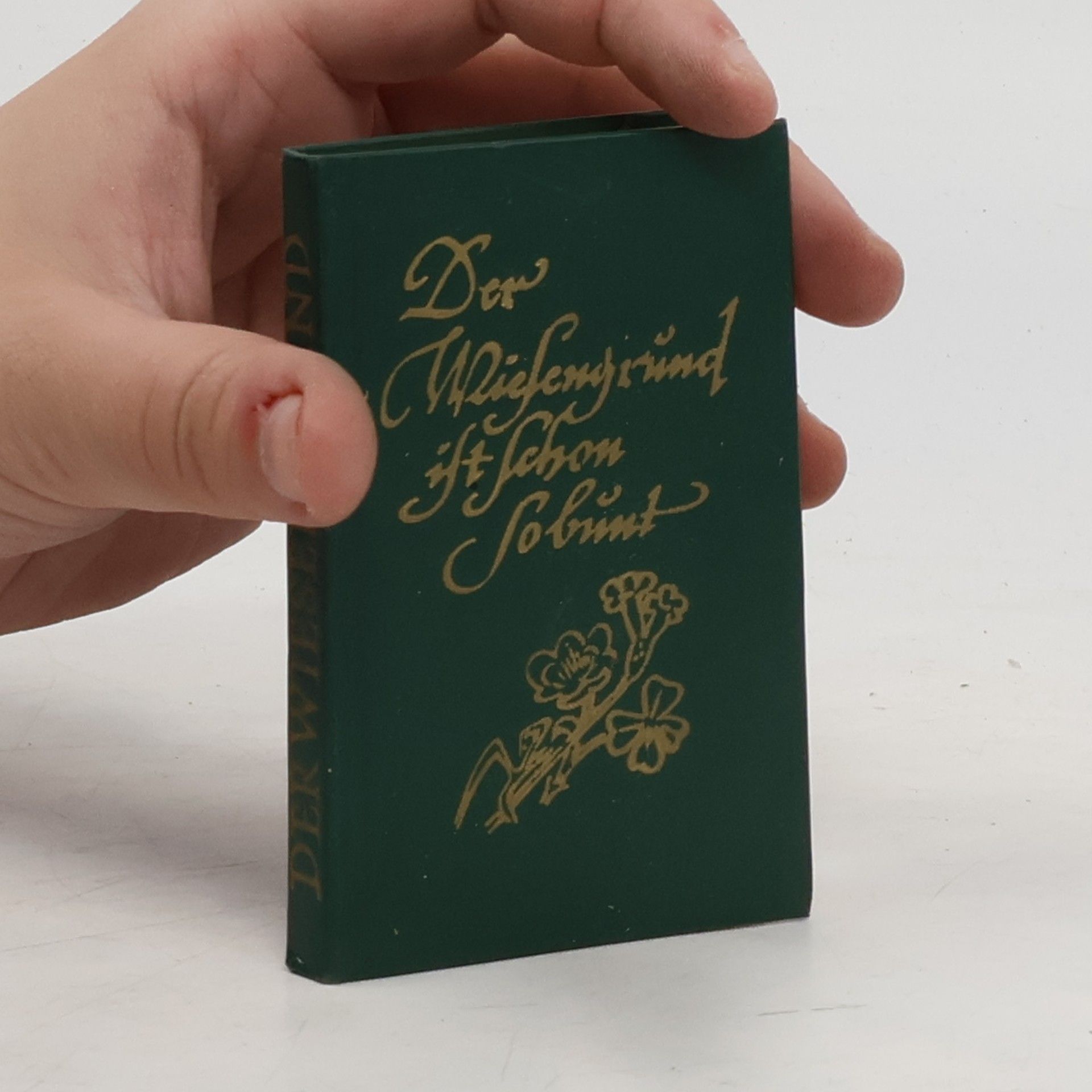 Otto Fischer-Trachau Der Wiesengrund ist schon so bunt