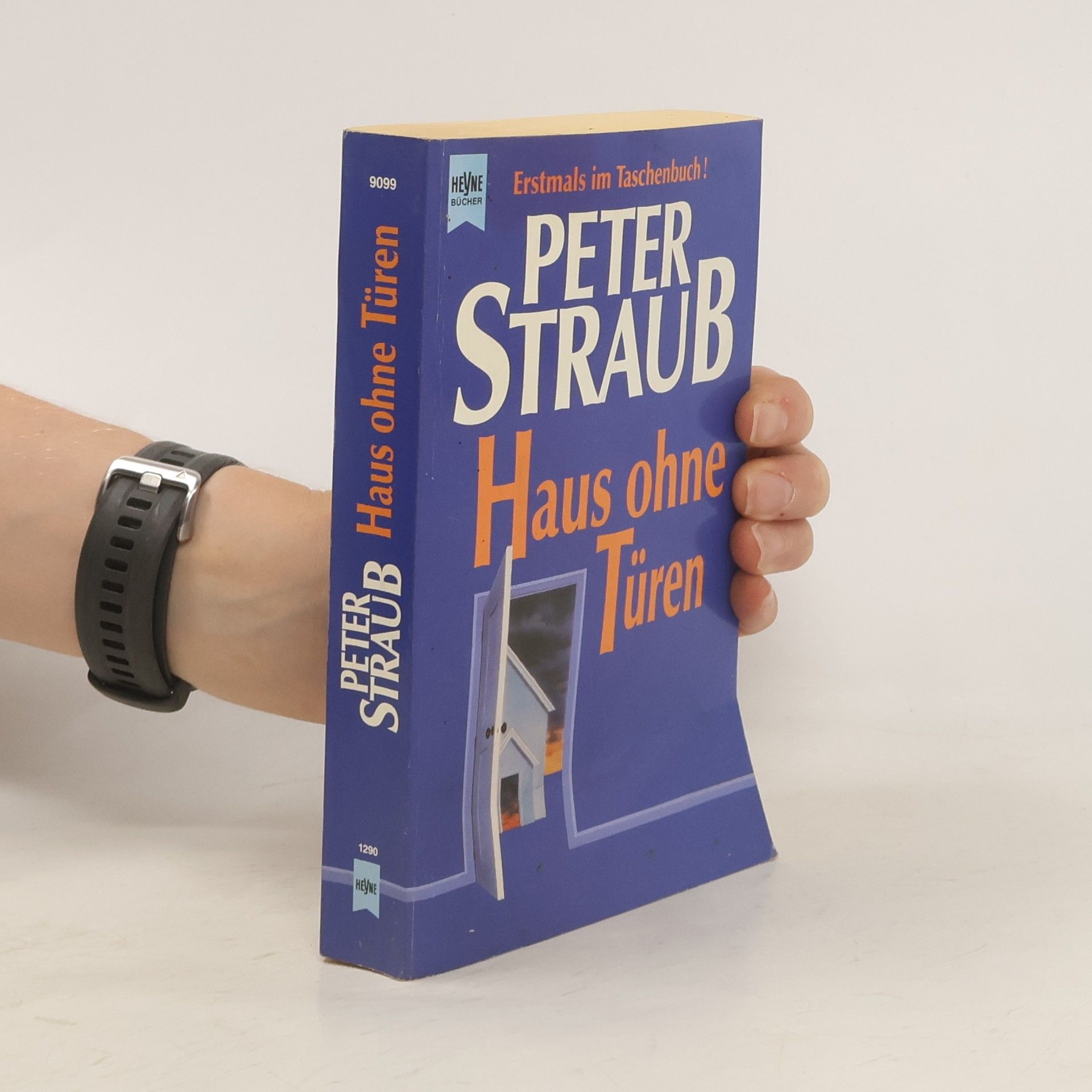 Peter Straub Haus ohne Türen.