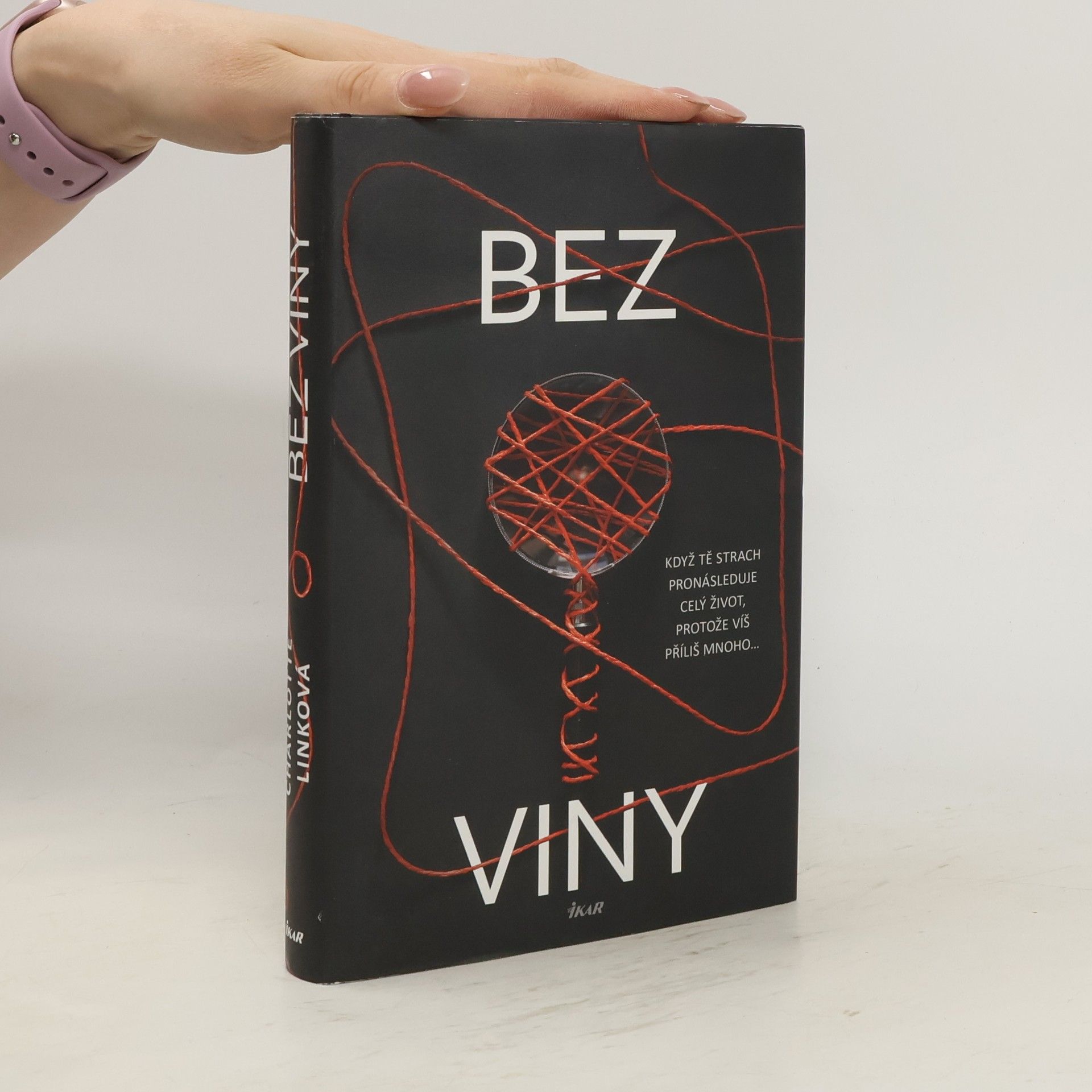 Charlotte Link Bez viny