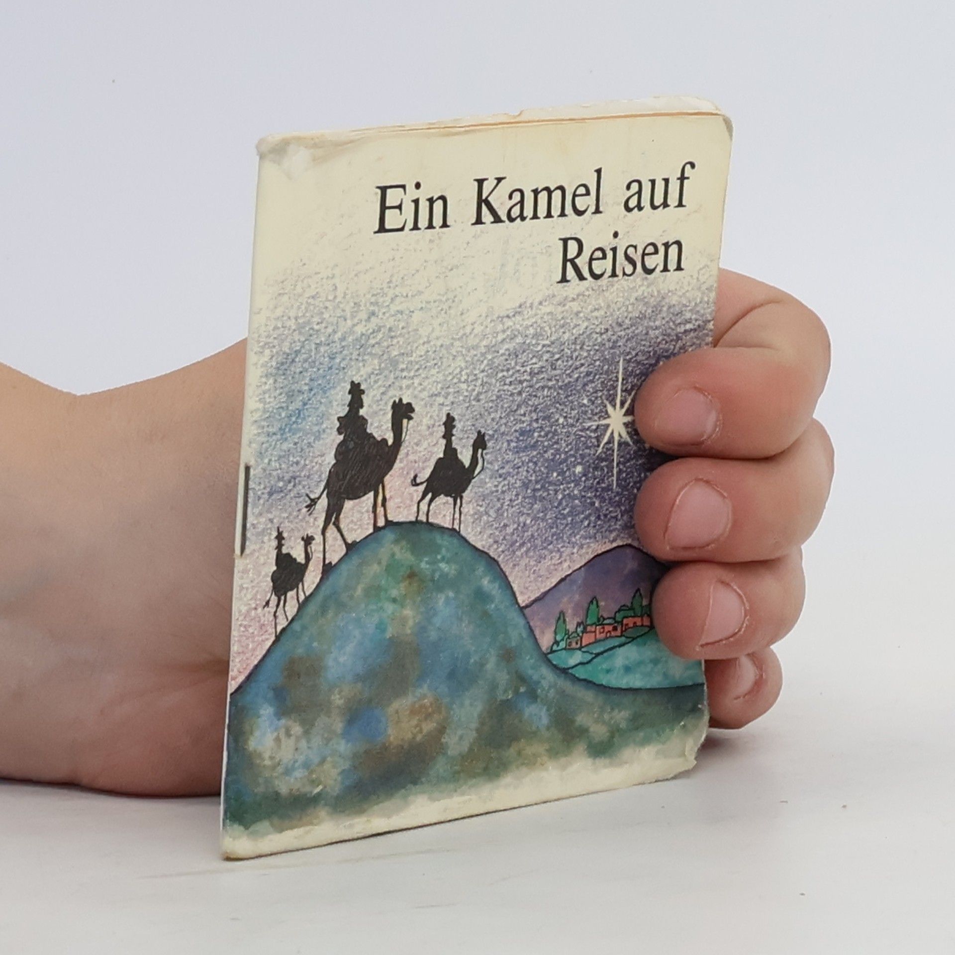 Gordon Stowell Ein Kamel auf Reisen