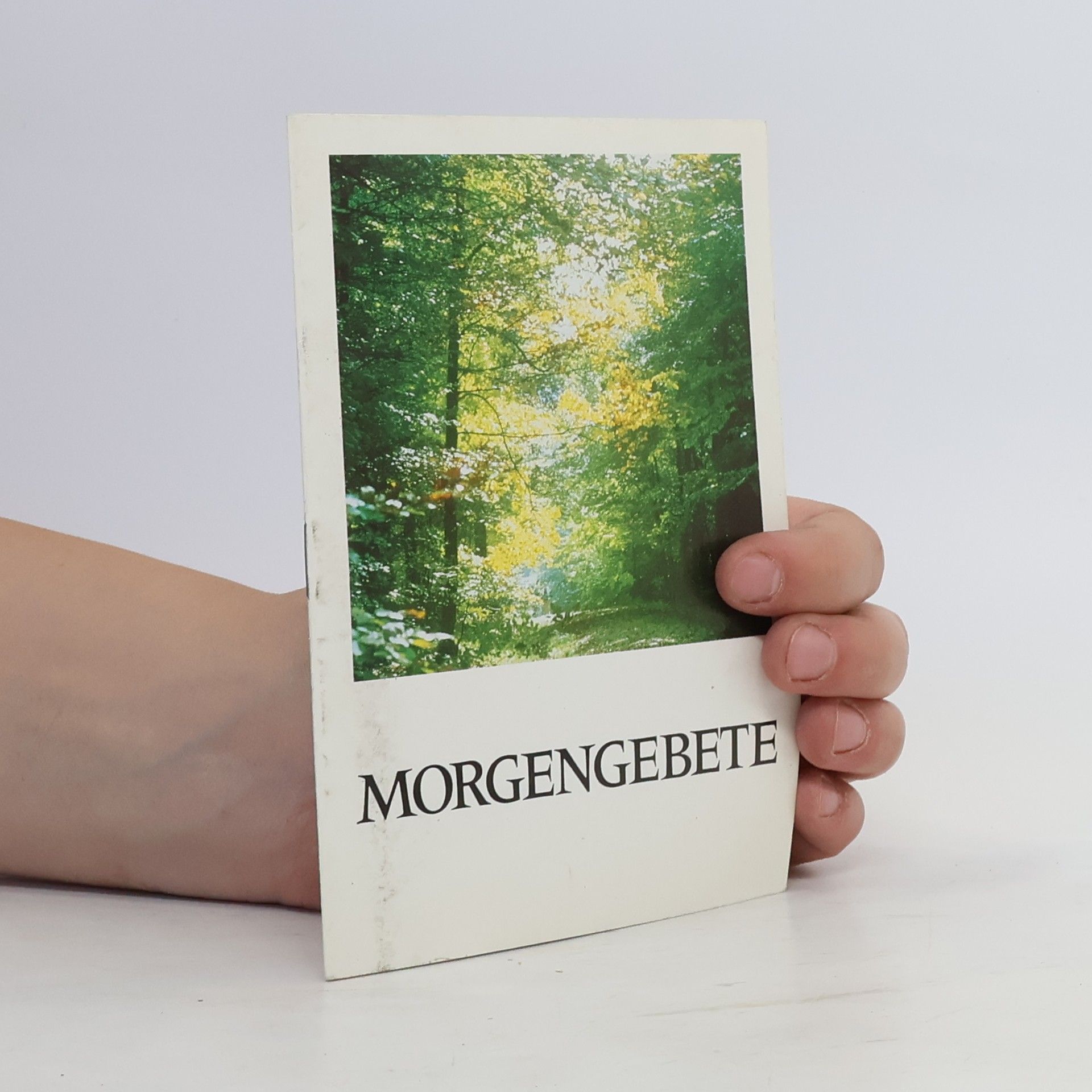 Autorenkollektiv Morgengebete