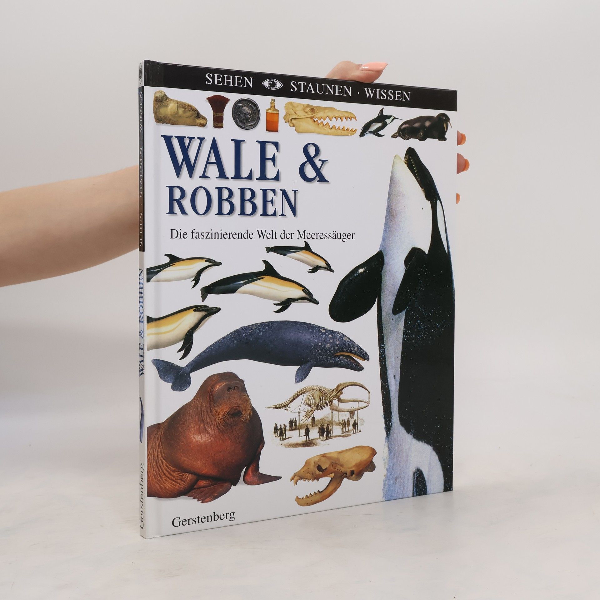 Autorenkollektiv Wale & Robben