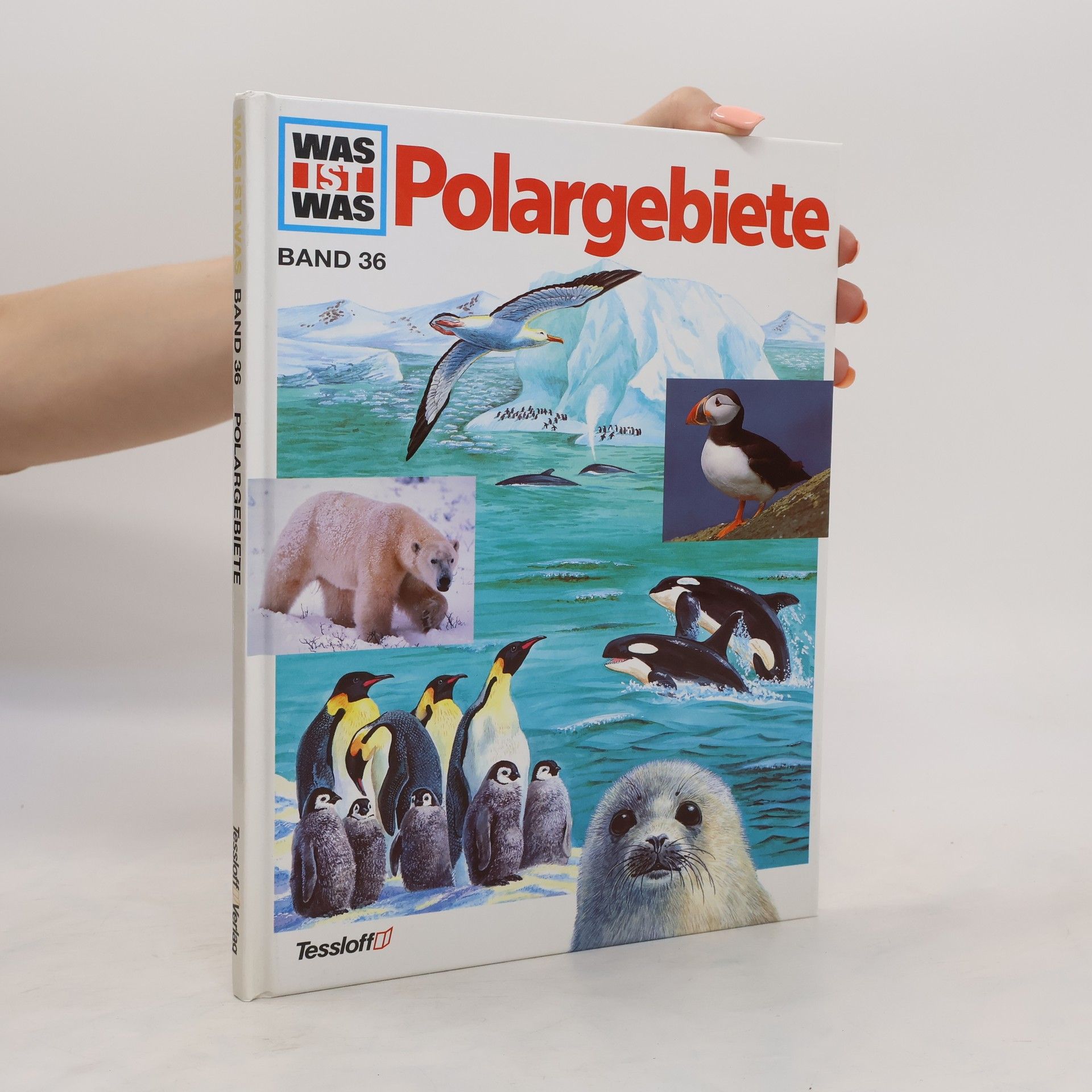 Joachim Mallwitz Polargebiete