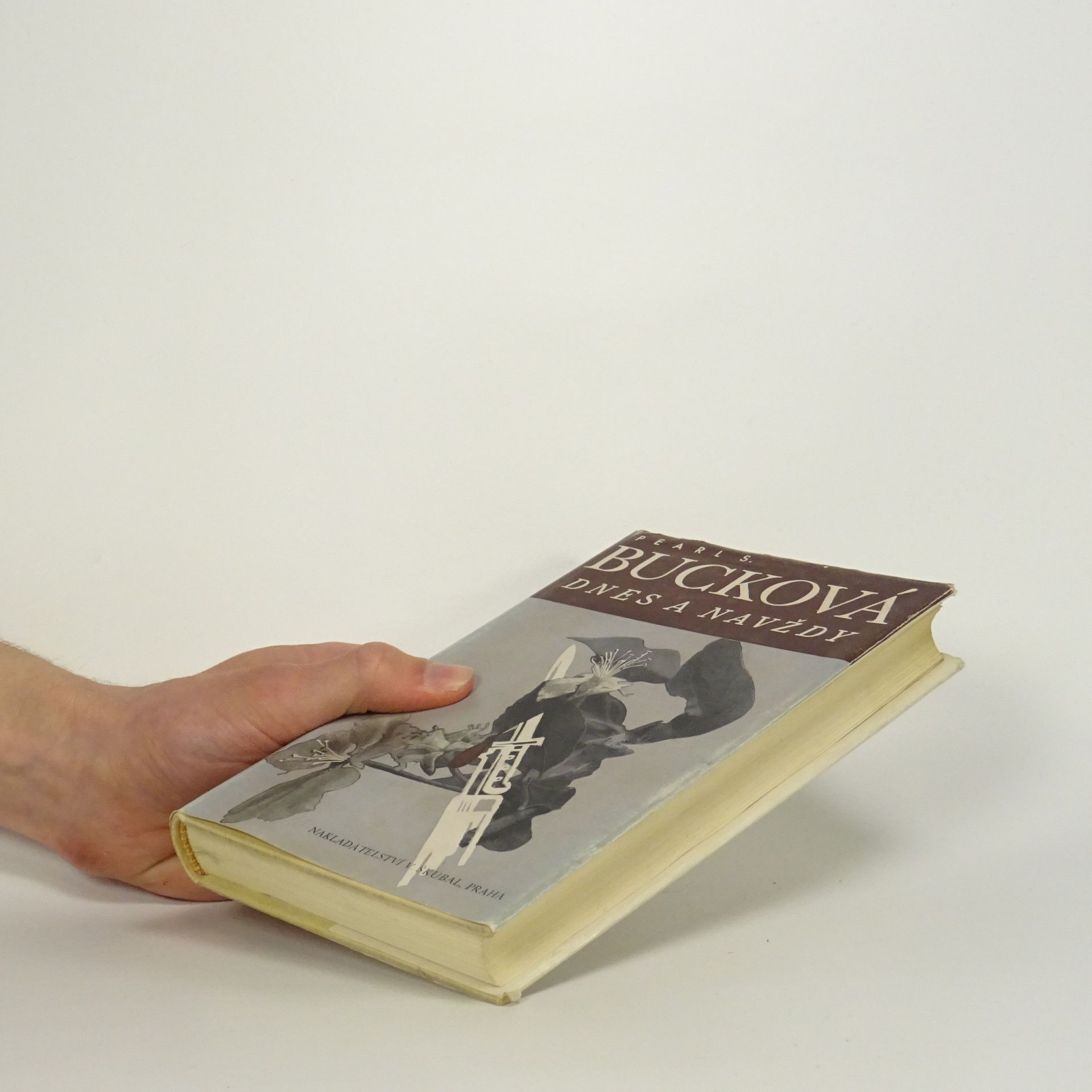 Pearl S. Buck Dnes a navždy