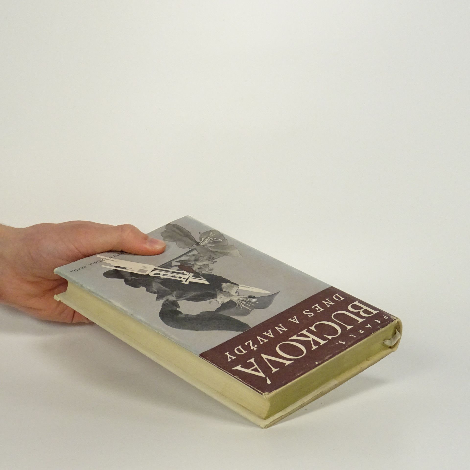 Pearl S. Buck Dnes a navždy