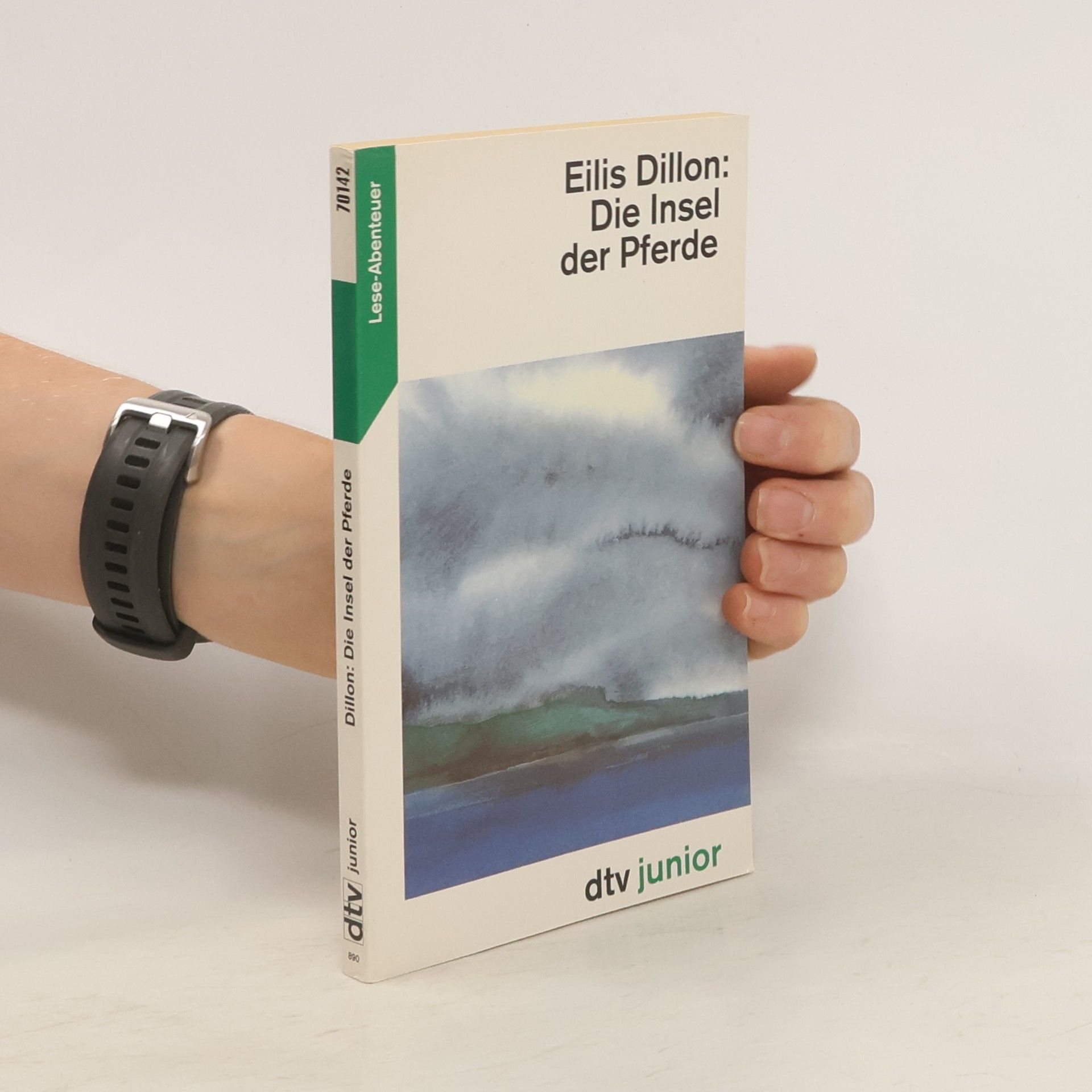 Eili s. Dillon Die Insel der Pferde