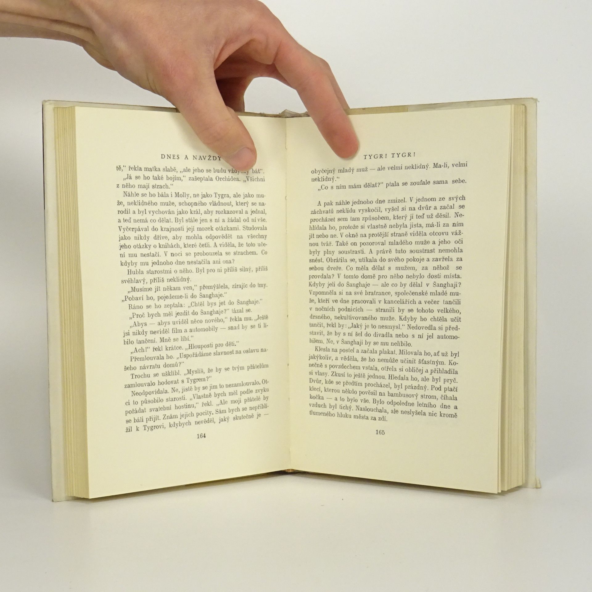 Pearl S. Buck Dnes a navždy
