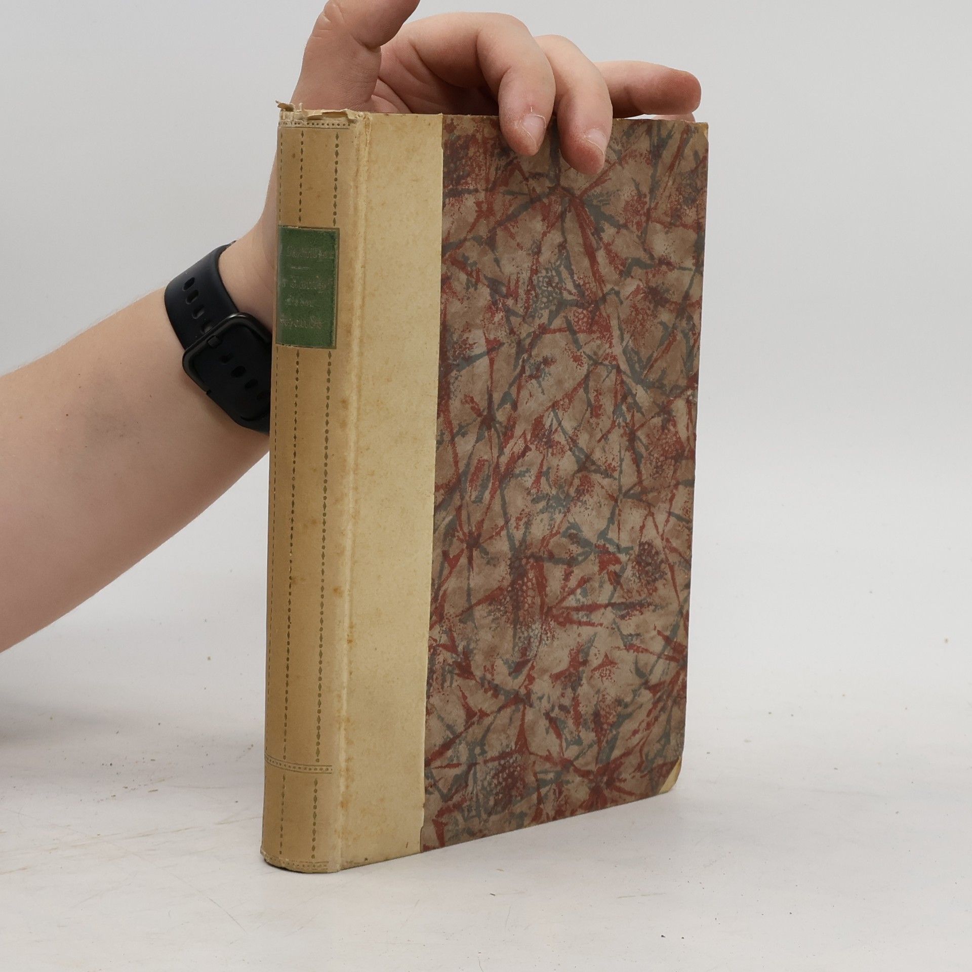 Erich Schlaikjer Im Kampf mit der Schande