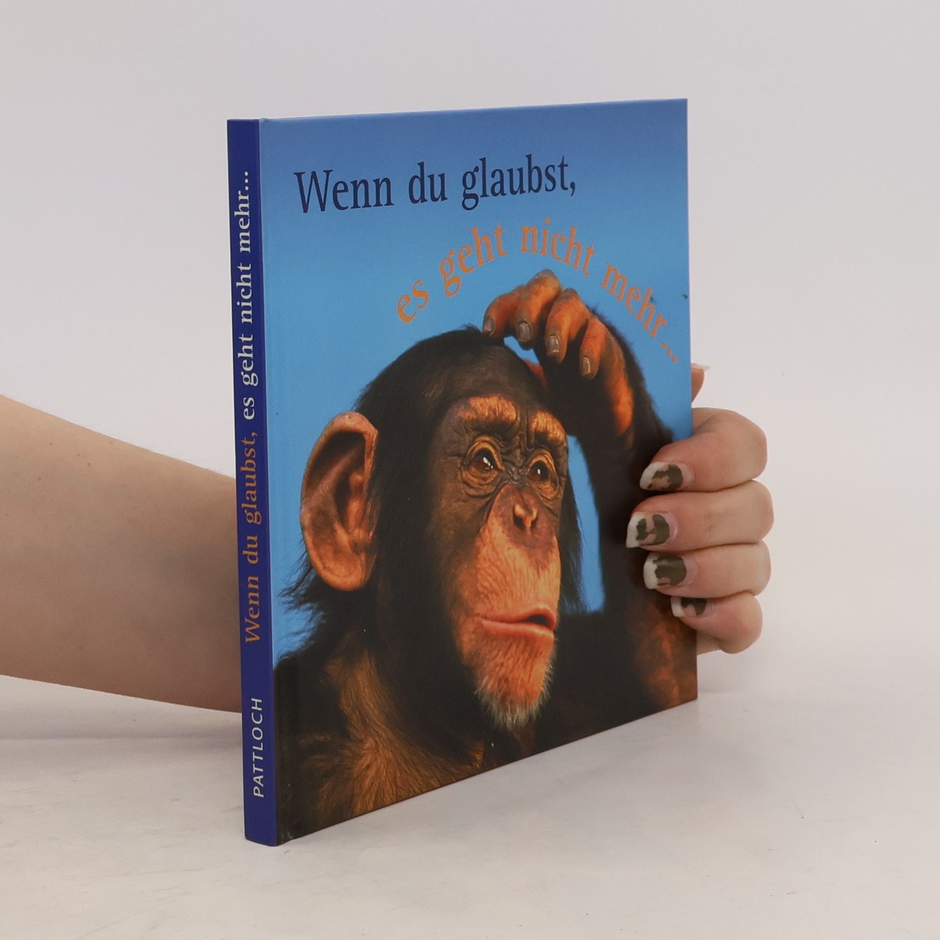 Luc Serafin Wenn du glaubst, es geht nicht mehr ...