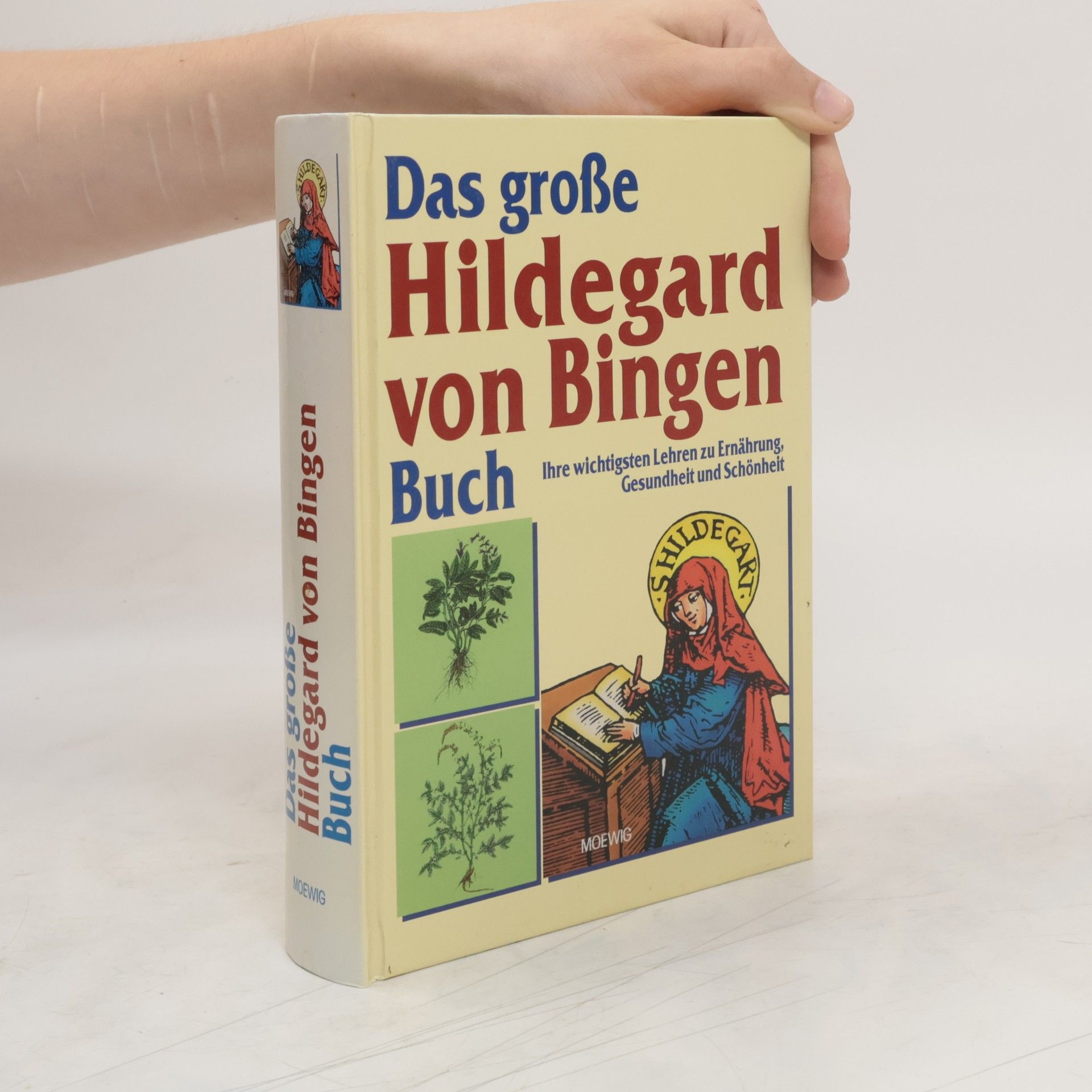 Heidelore Kluge Das große Hildegard-von-Bingen-Buch