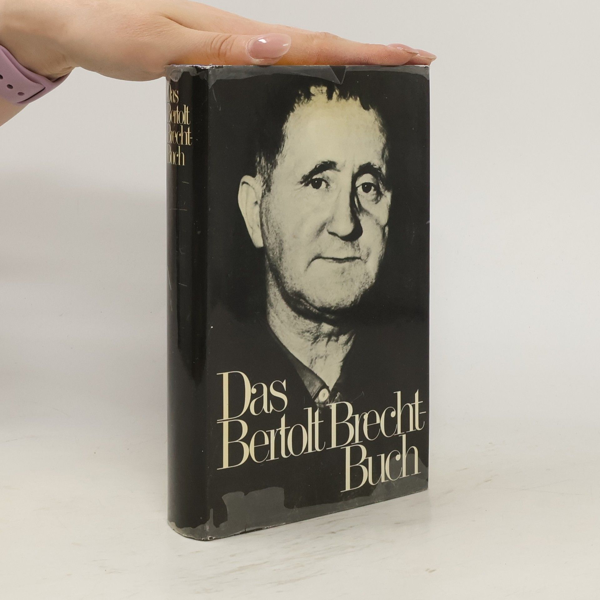 Bertolt Brecht Das Bertolt Brecht Buch