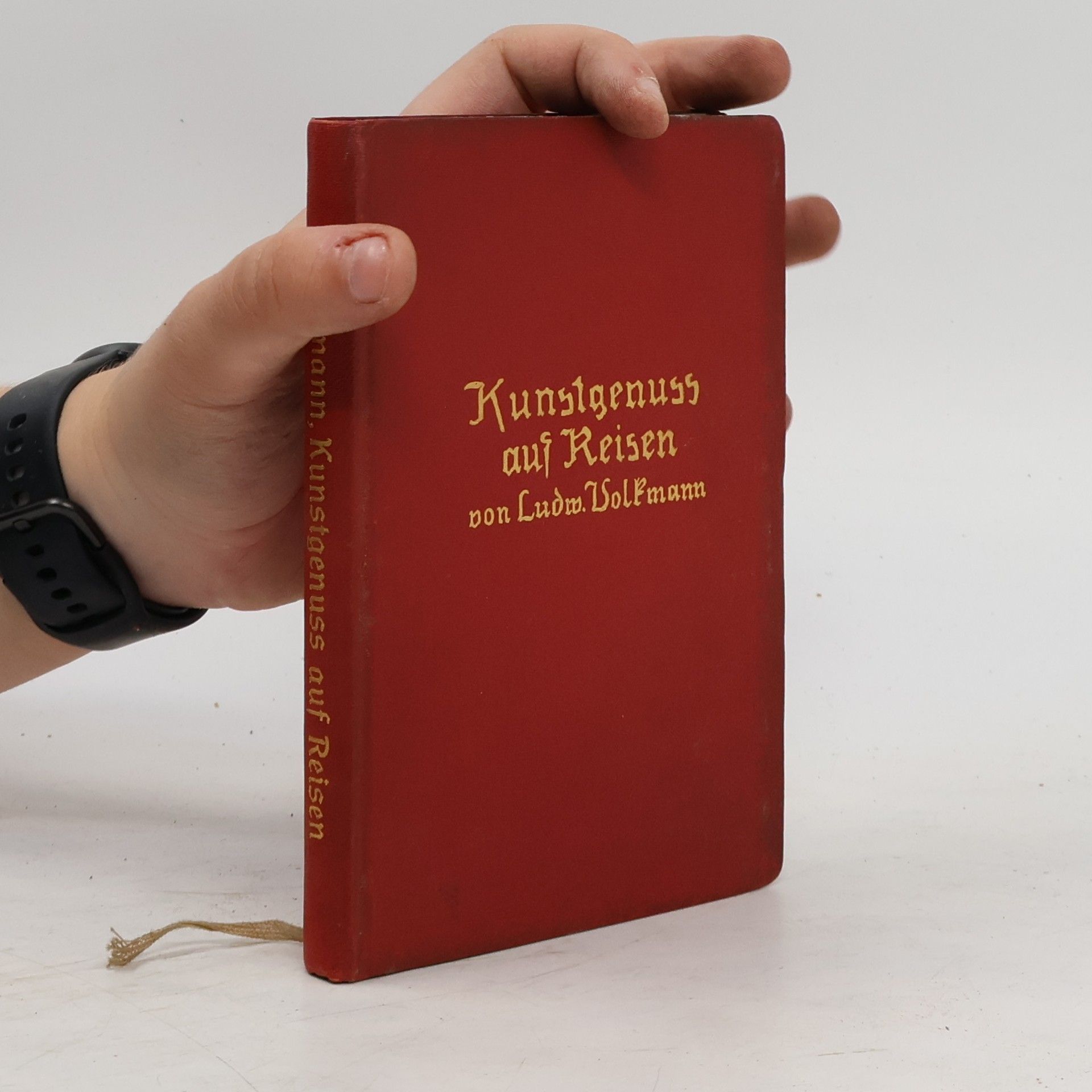 Ludwig Volkmann Kunstgenuss auf Reisen