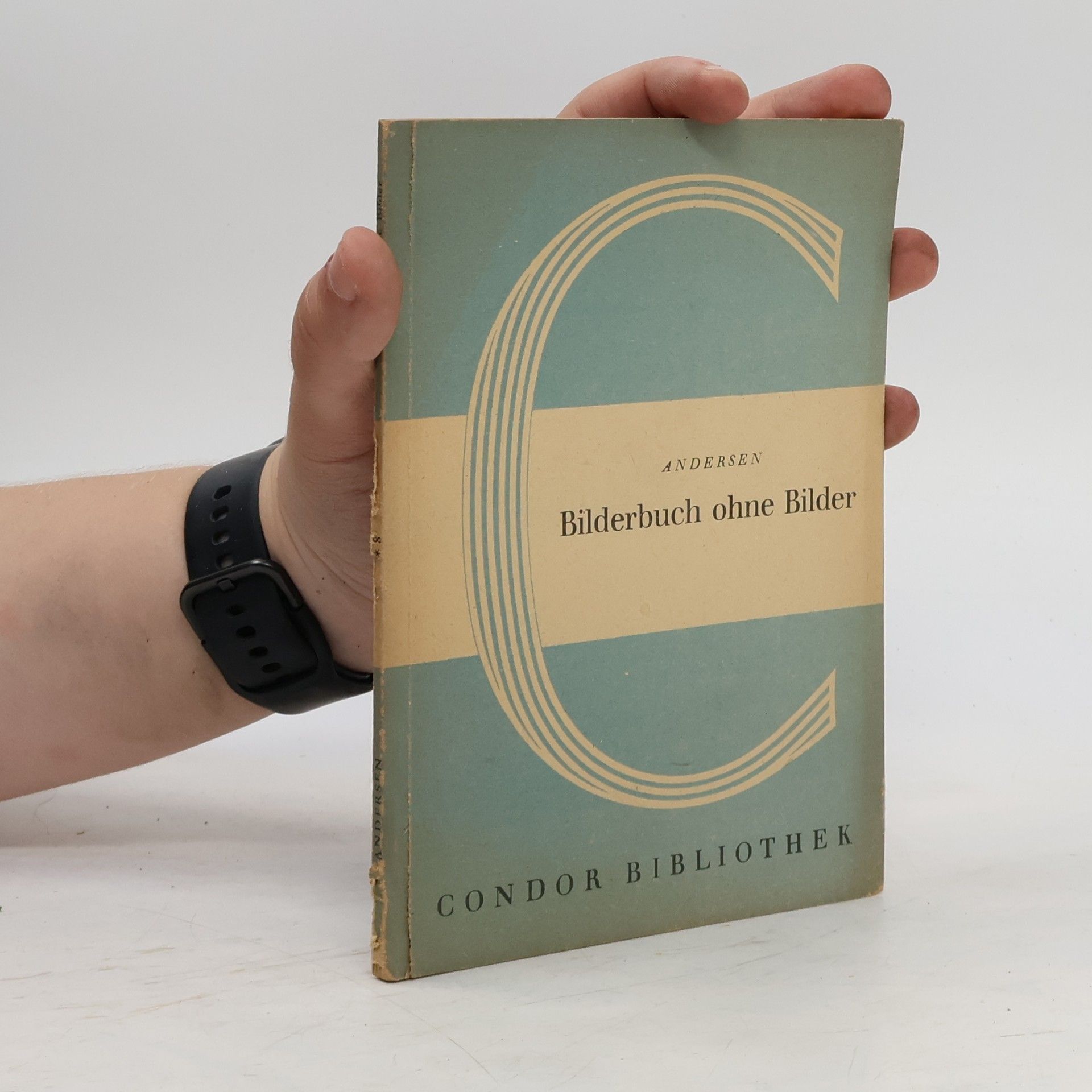 Hans-Christian Andersen Bilderbuch ohne Bilder