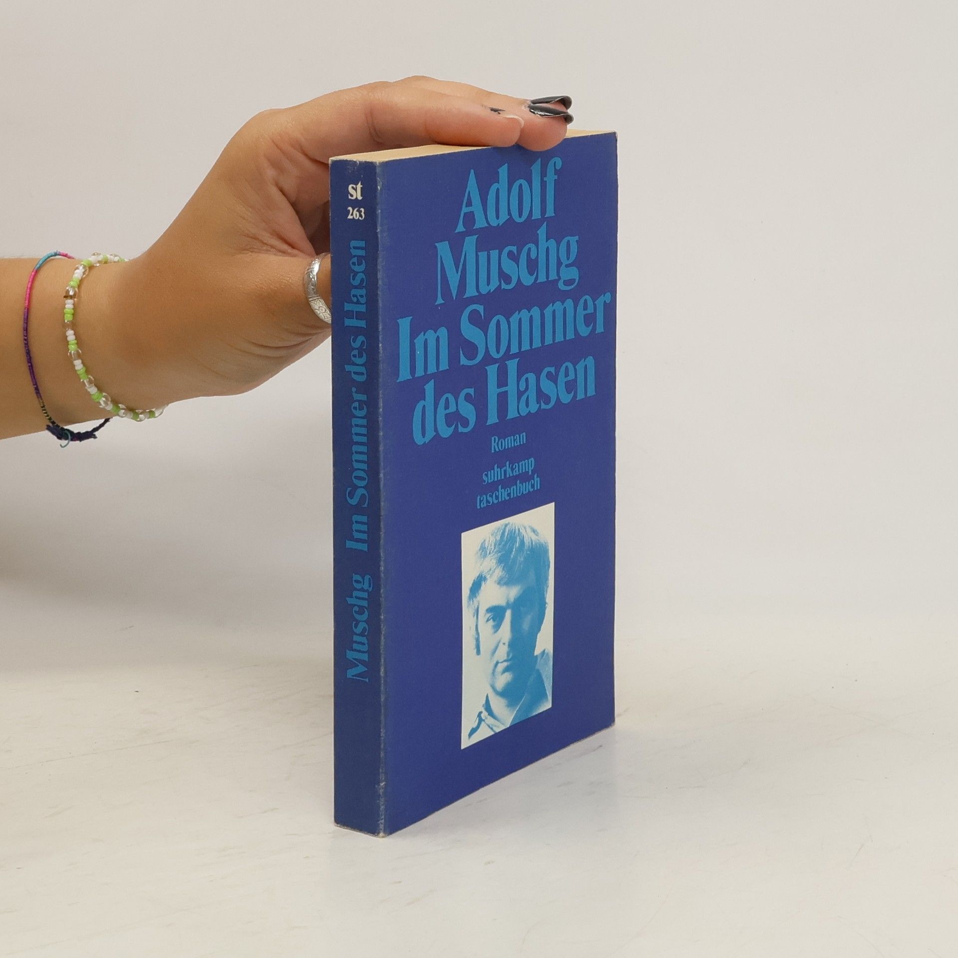 Adolf Muschg Im Sommer des Hasen