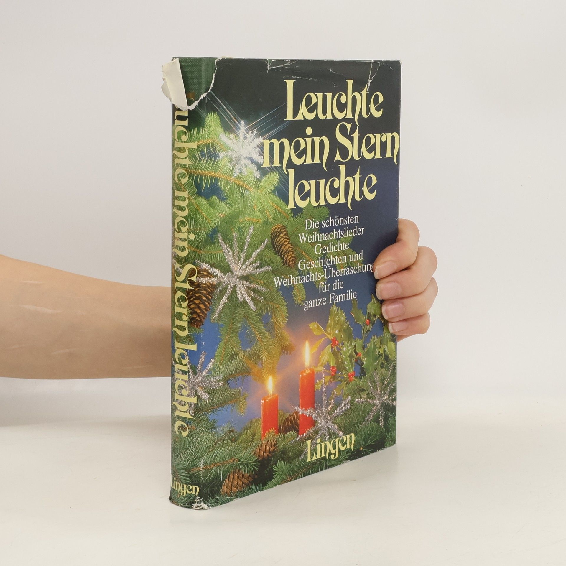 Collectif d'auteurs Leuchte mein Stern leuchte