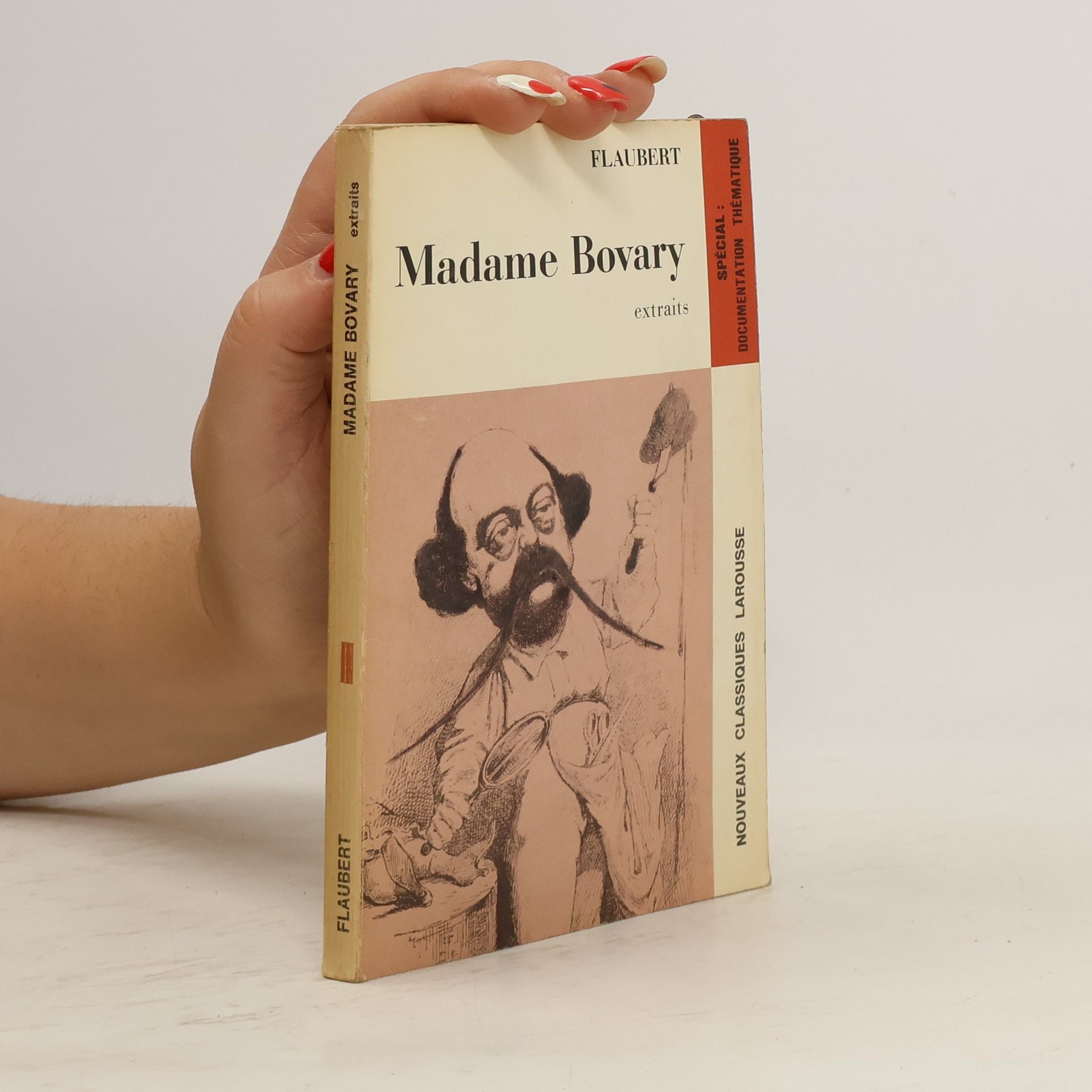 Gustave Flaubert Madame Bovary : extraits