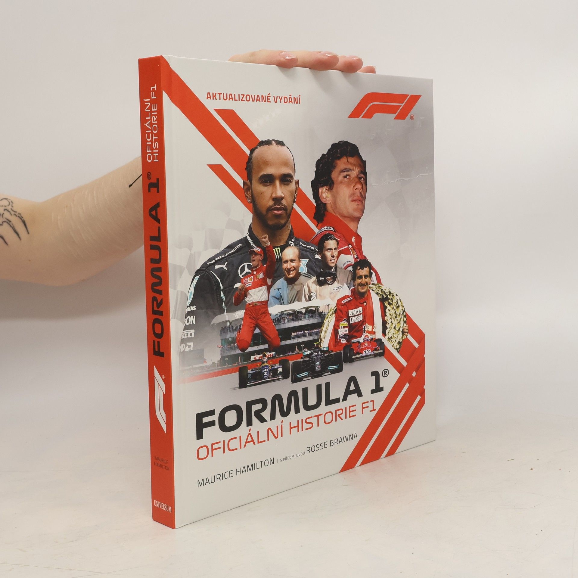 Dalibor Míček Formula 1 : oficiální historie F1