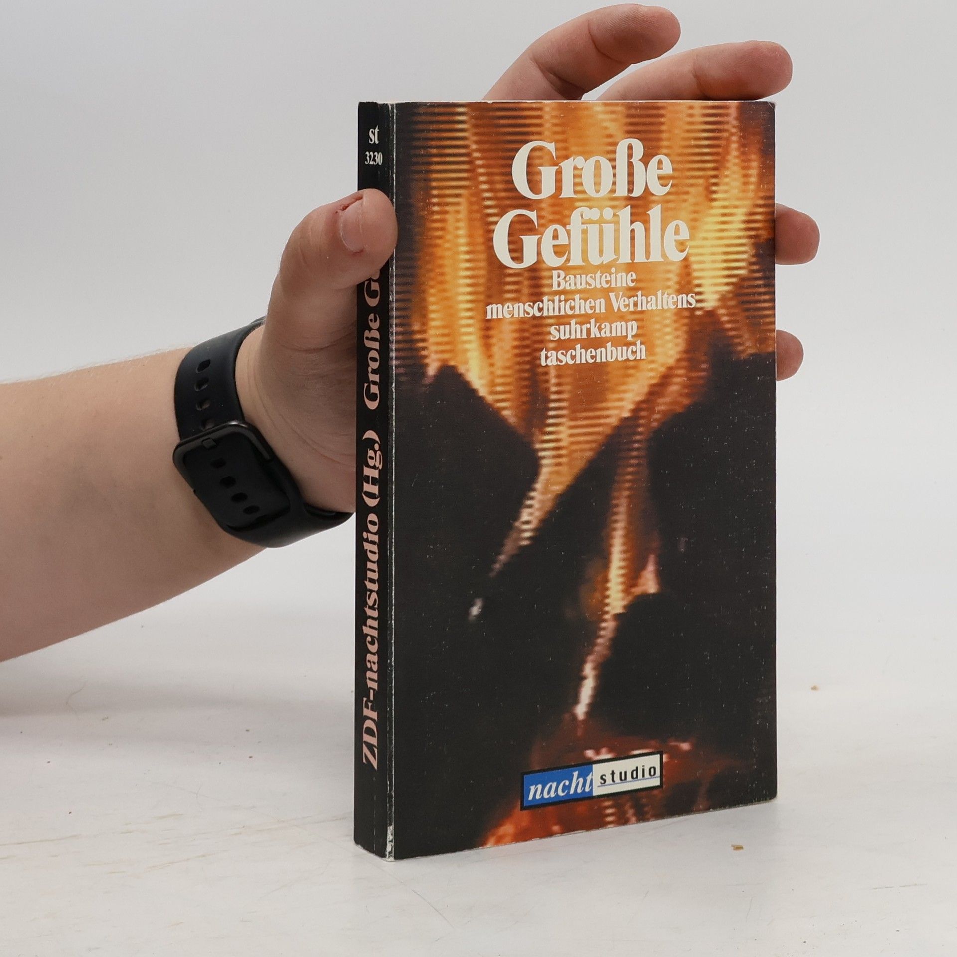 Auteurscollectief Große Gefühle