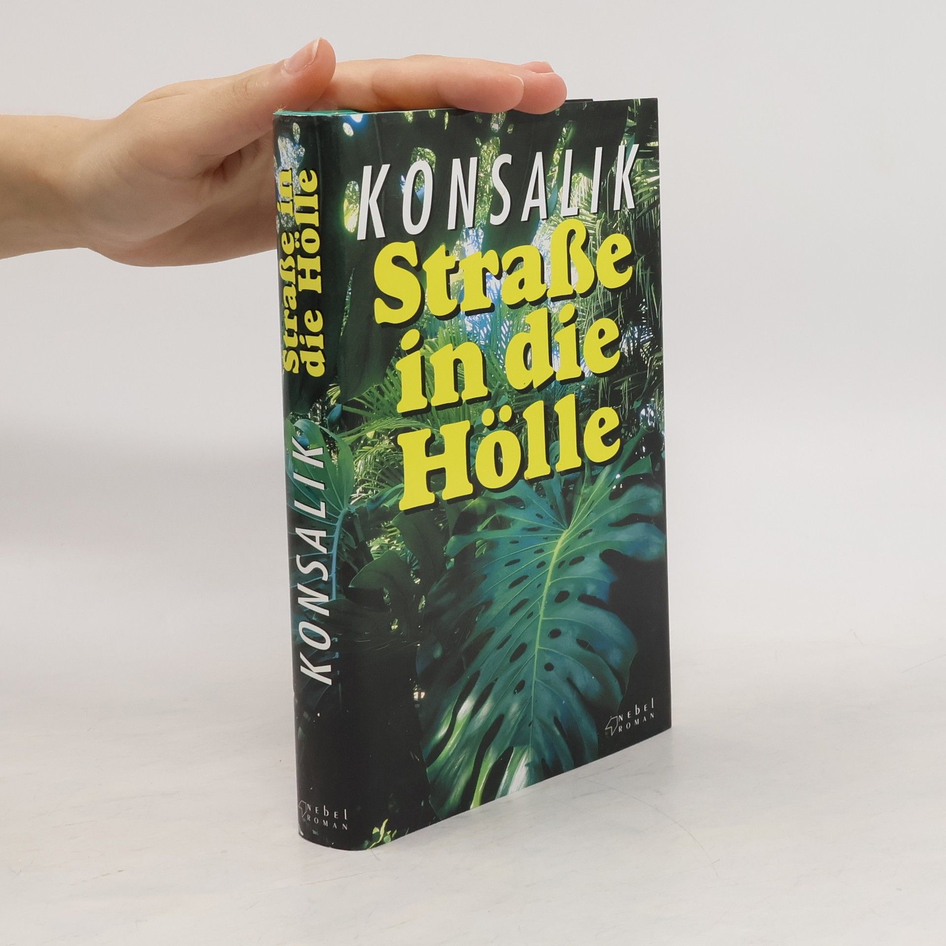 Heinz Csallner Historische Ansichten vom Sudetenland