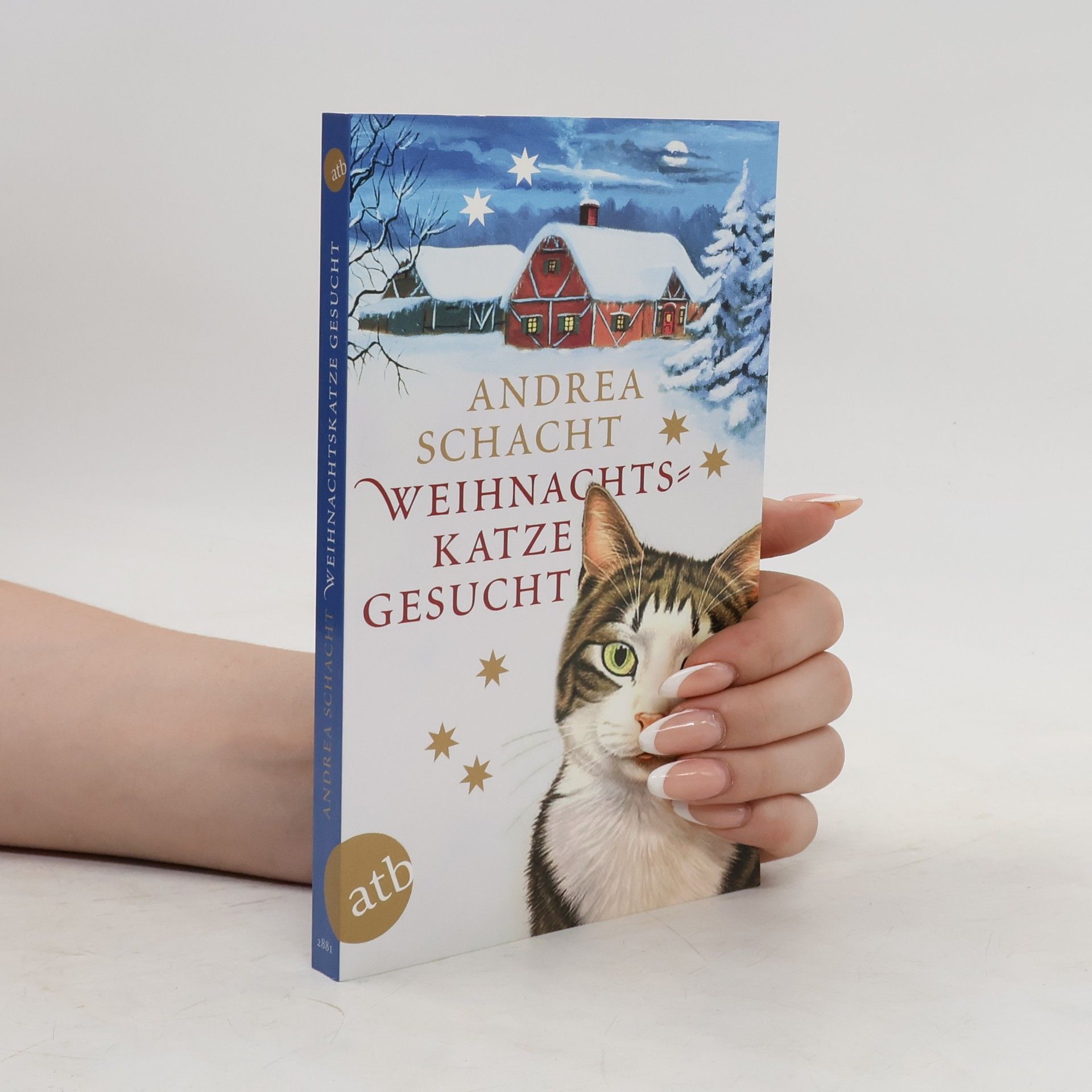 Andrea Schacht Weihnachtskatze gesucht