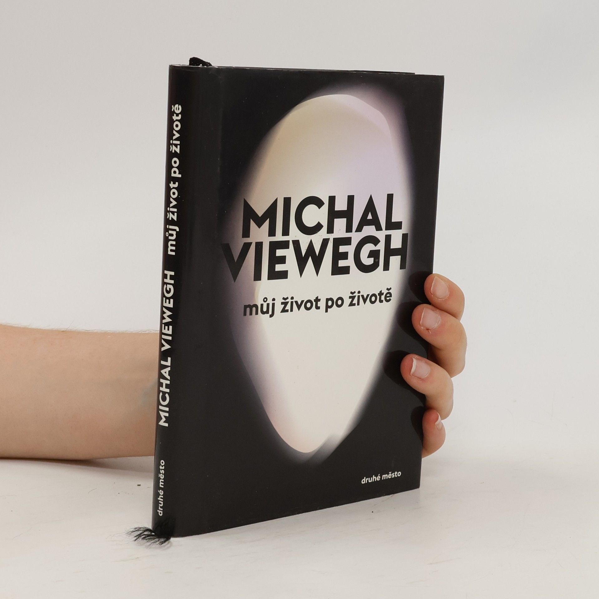 Michal Viewegh Můj život po životě