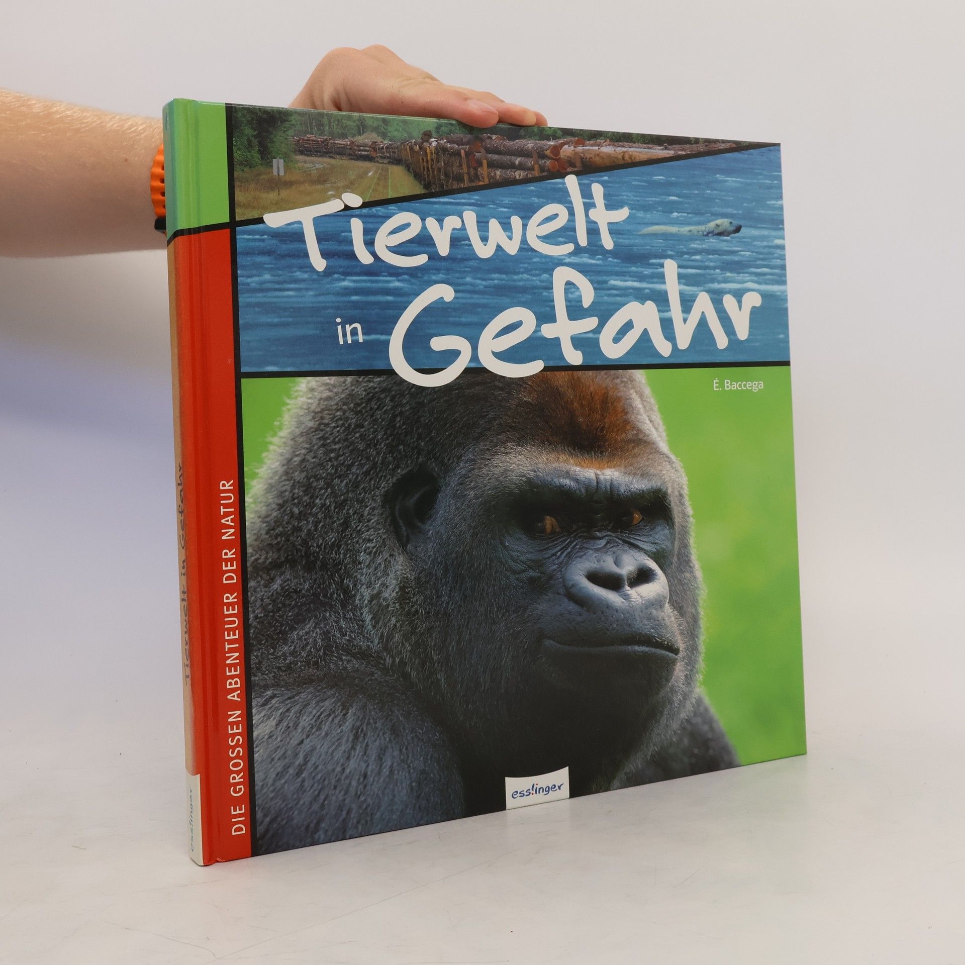 Eric Baccega Tierwelt in Gefahr
