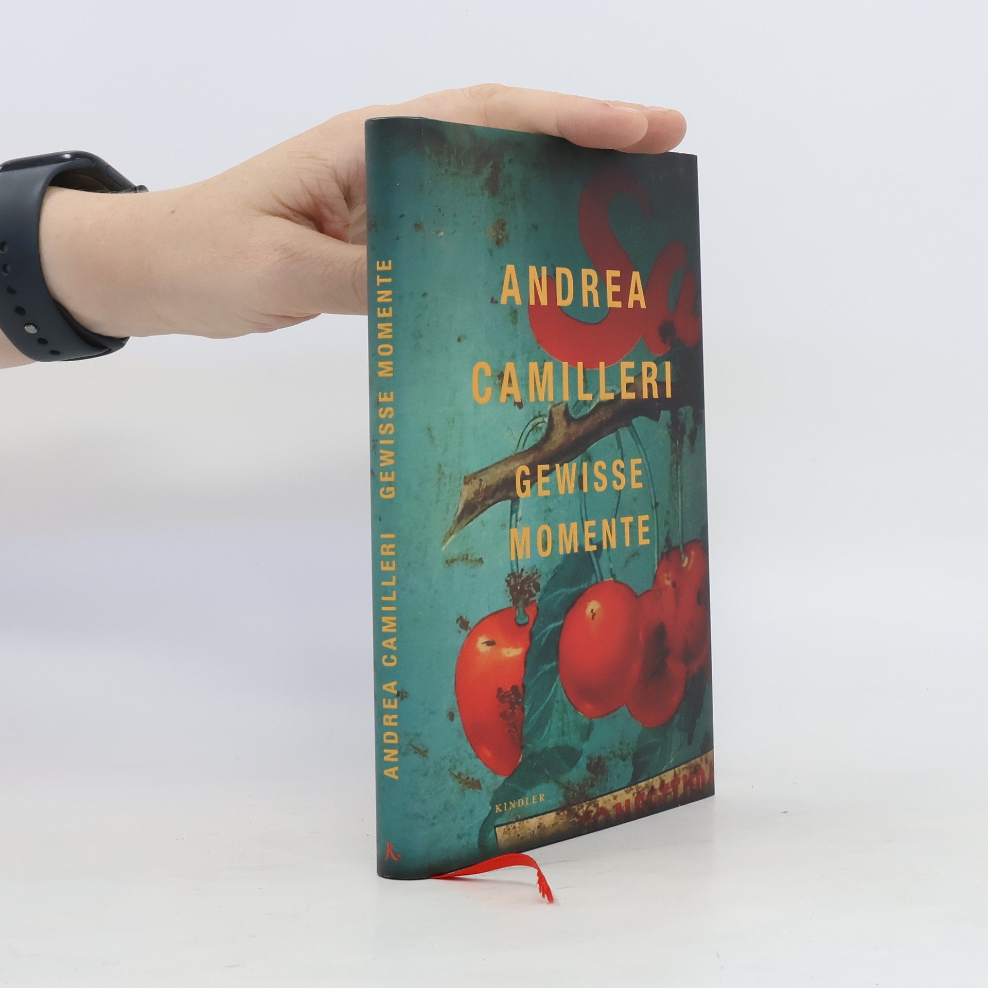 Andrea Camilleri Gewisse Momente