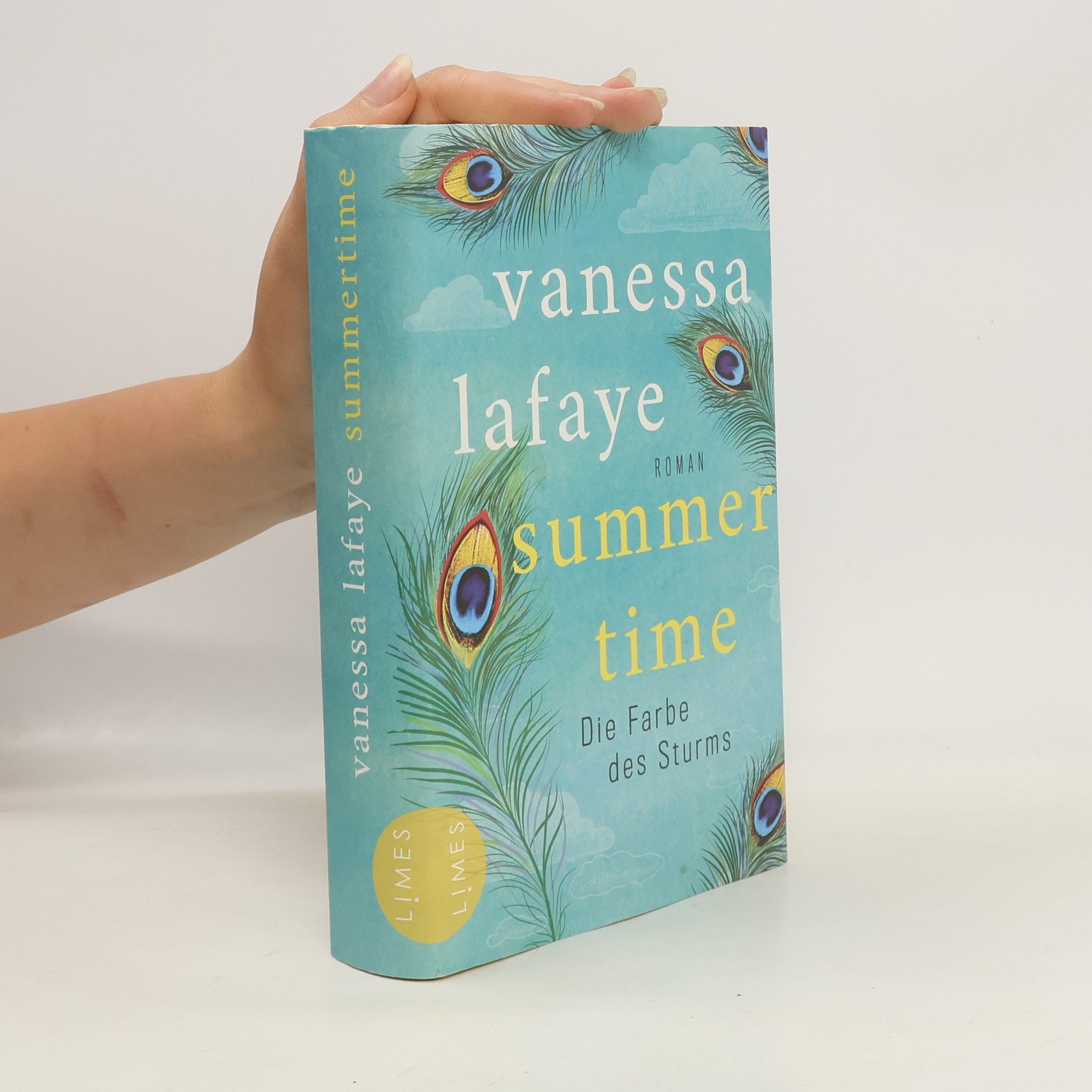 Vanessa Lafaye Summertime - die Farbe des Sturms