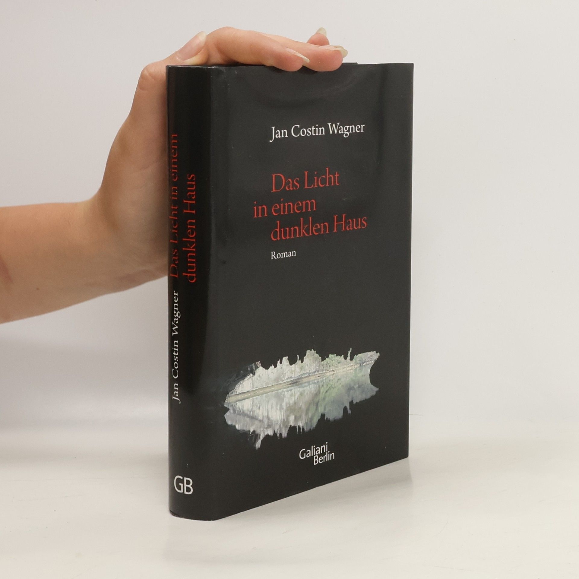 Jan Costin Wagner Das Licht in einem dunklen Haus
