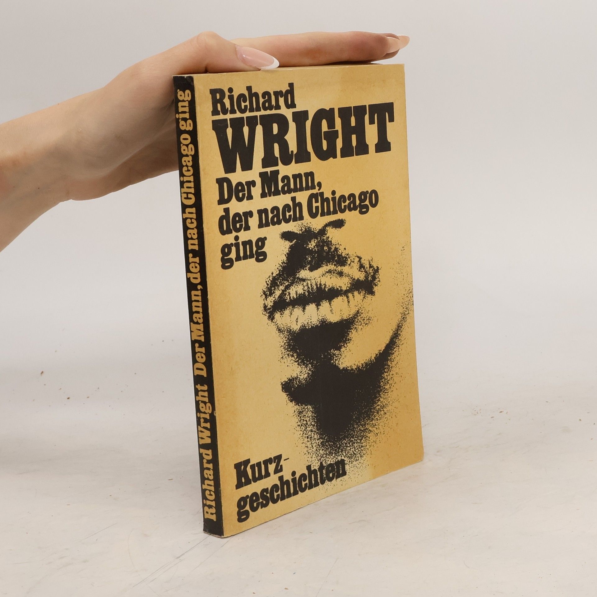 Richard Wright Der Mann der nach Chicago ging