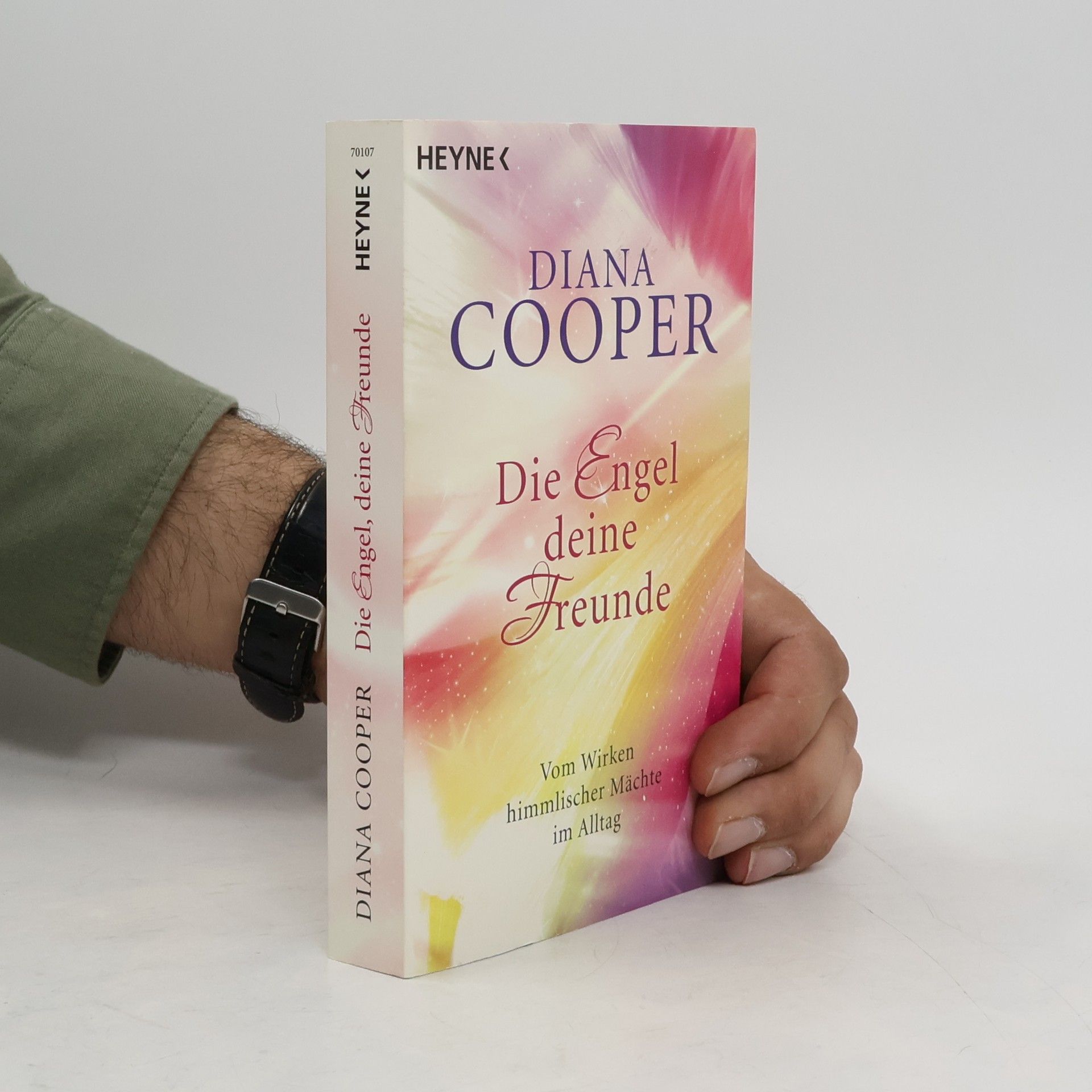 Diana Cooper Die Engel, deine Freunde