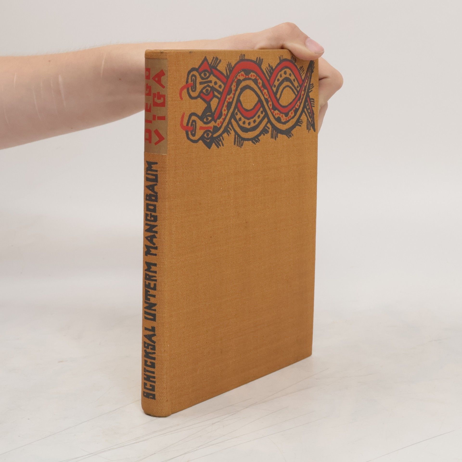 Diego Viga Schicksal unterm Mangobaum