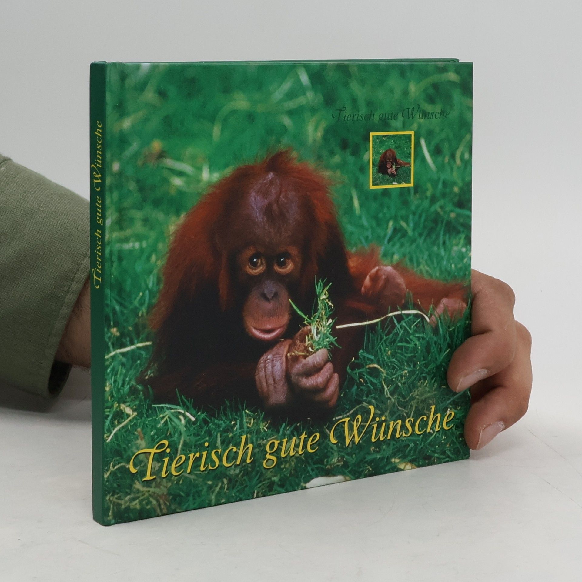 kolektiv Tierisch gute Wünsche
