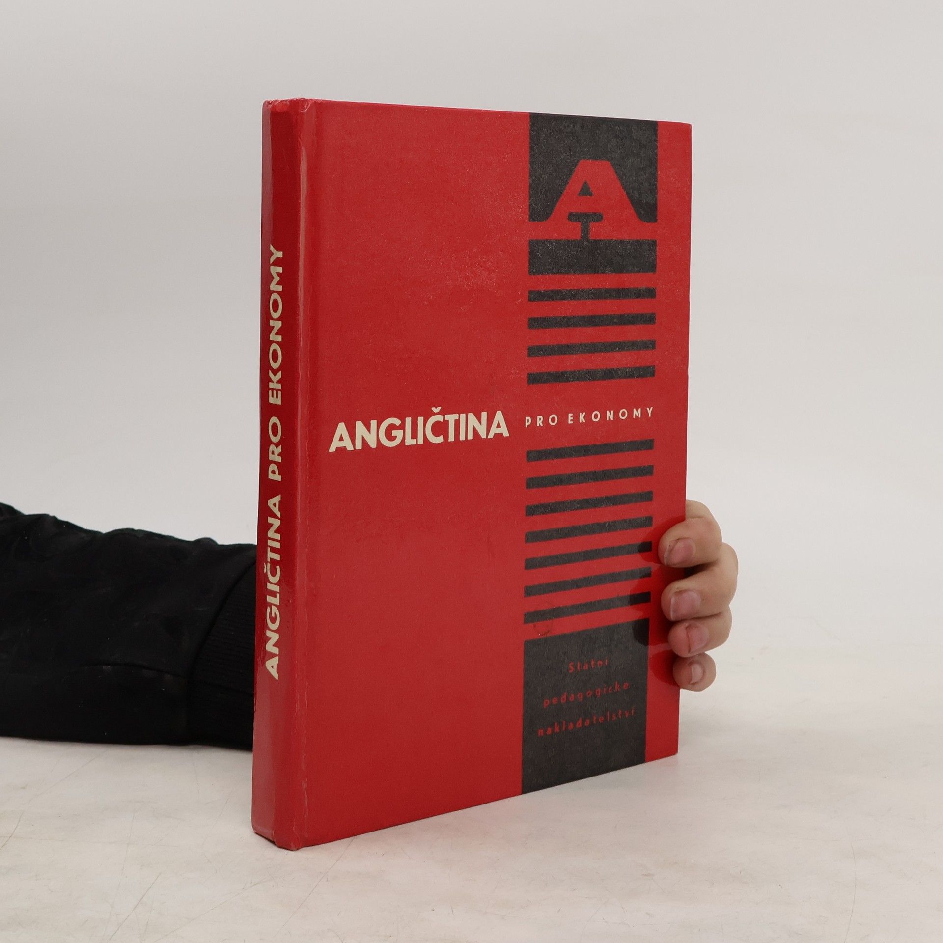 Vladimír Irgl Angličtina pro ekonomy