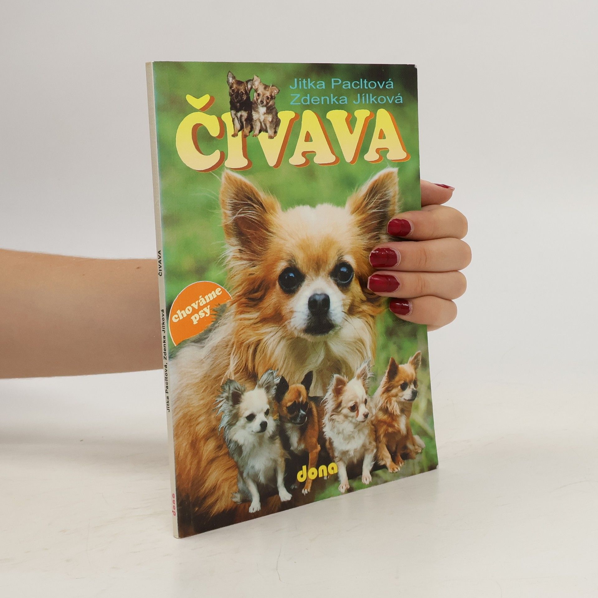Jitka Pacltová Čivava