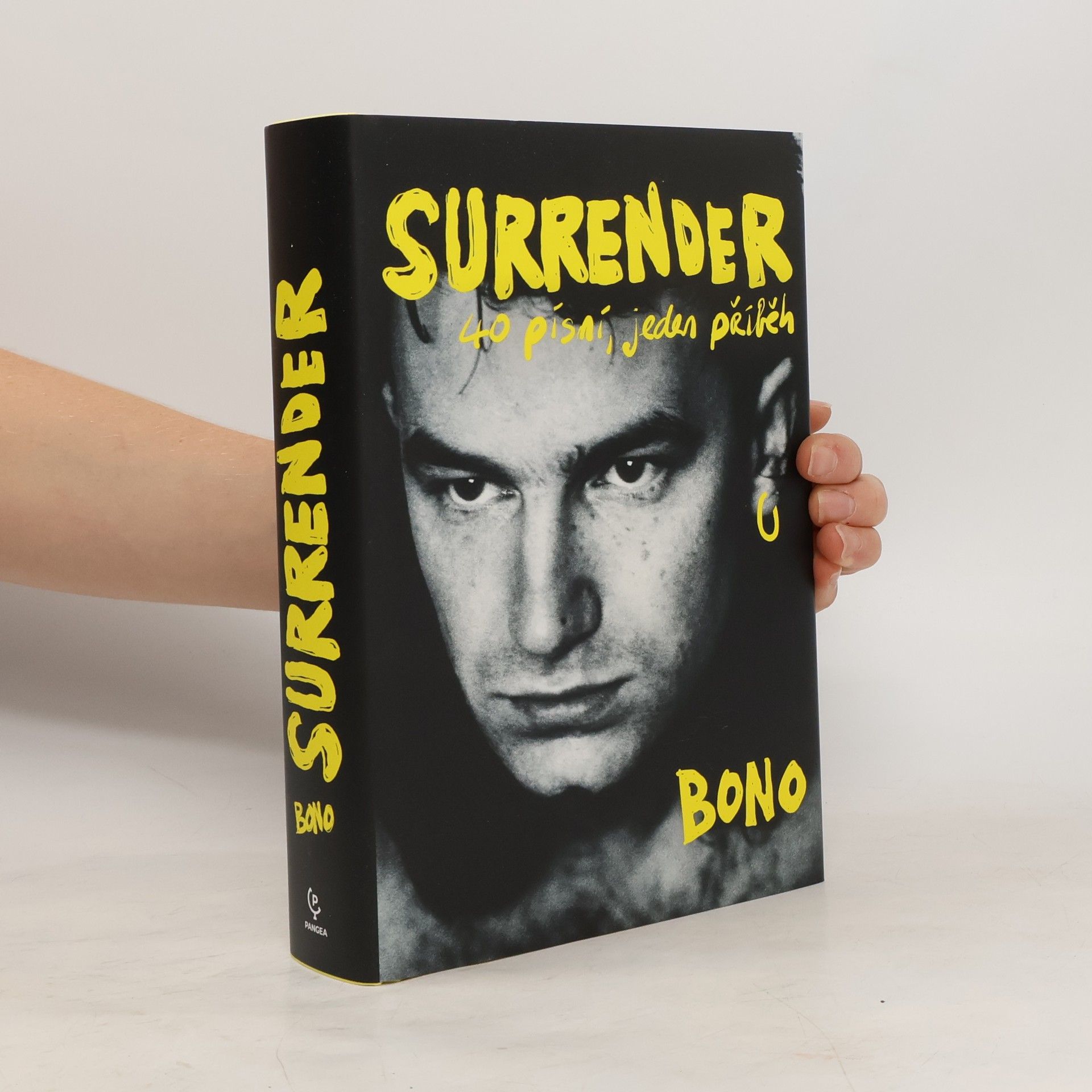 Bono Surrender : 40 písní, jeden příběh