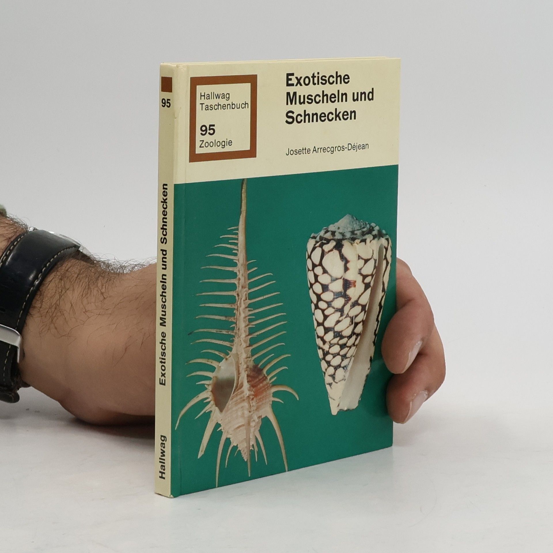 Josette Arrecgros Exotische Muscheln und Schnecken