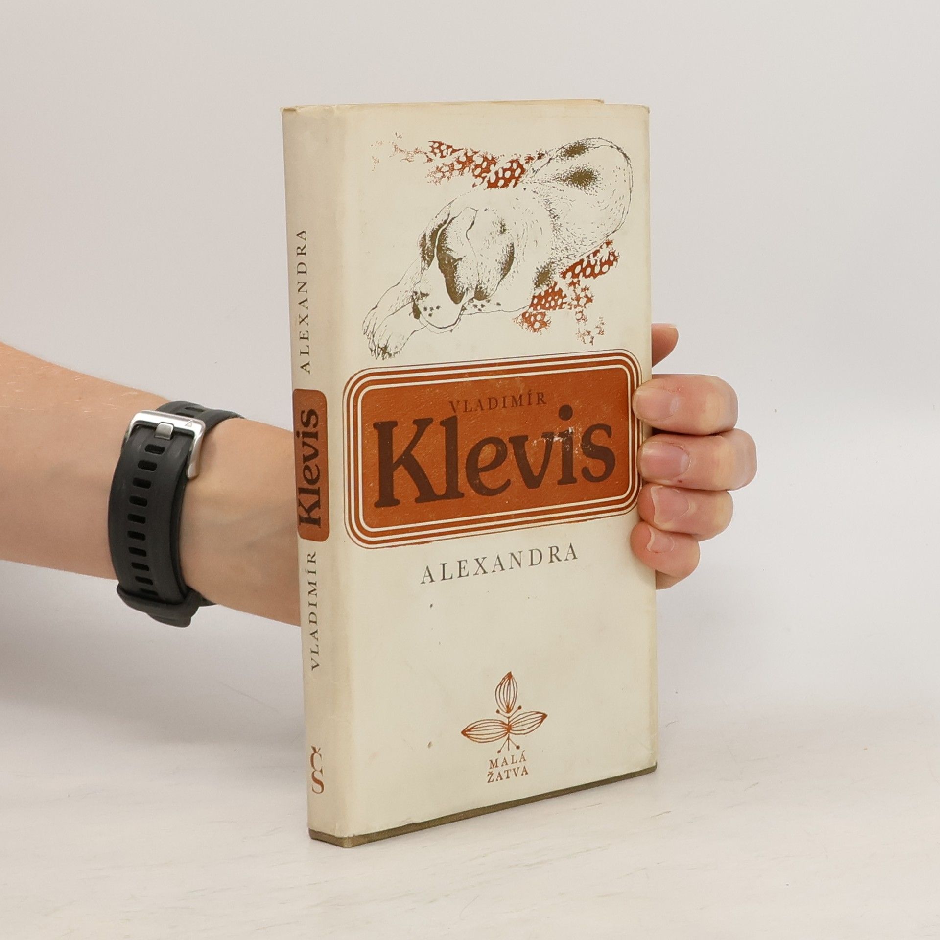 Vladimír Klevis Alexandra