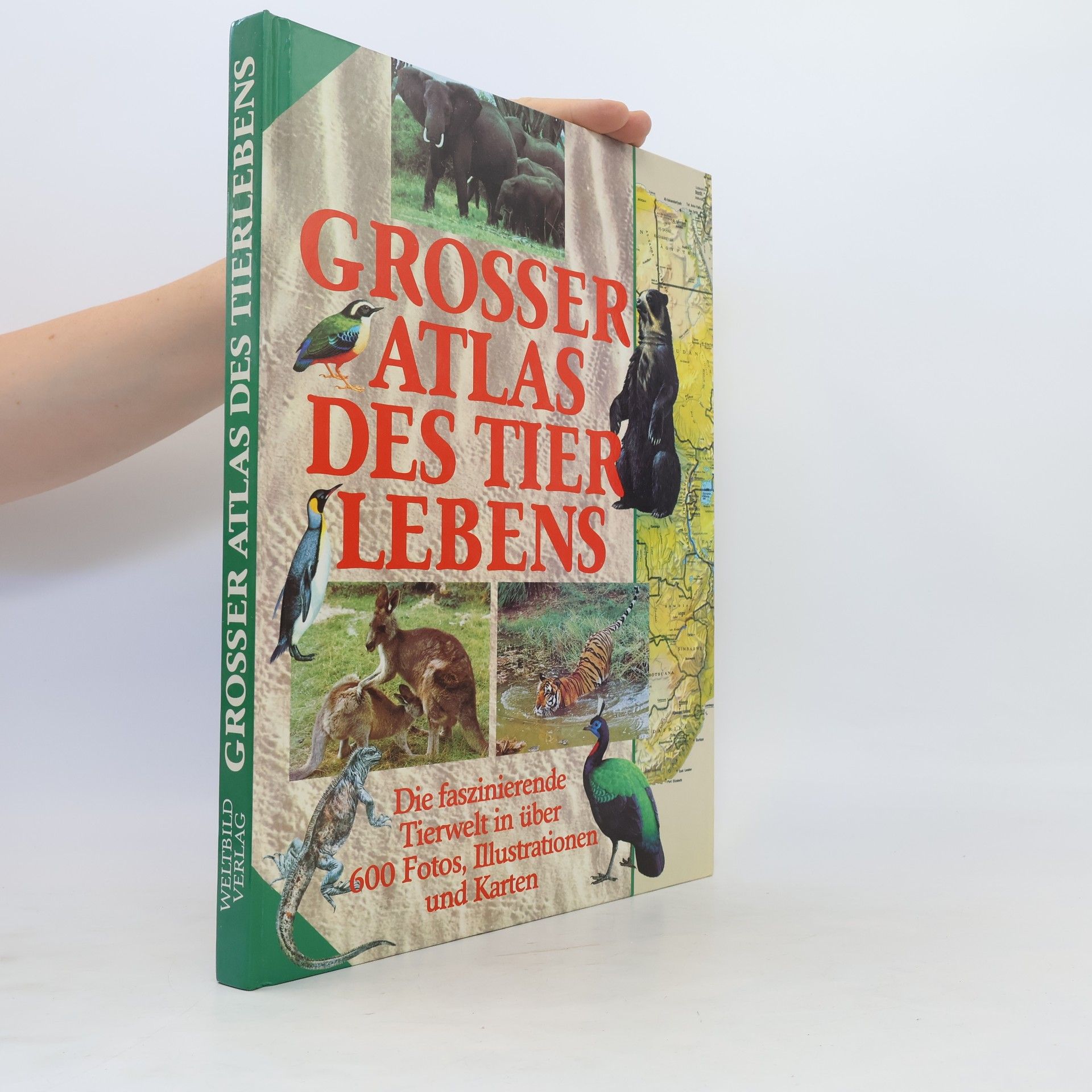 Hans-Heinrich Wellmann Grosser Atlas des Tierlebens