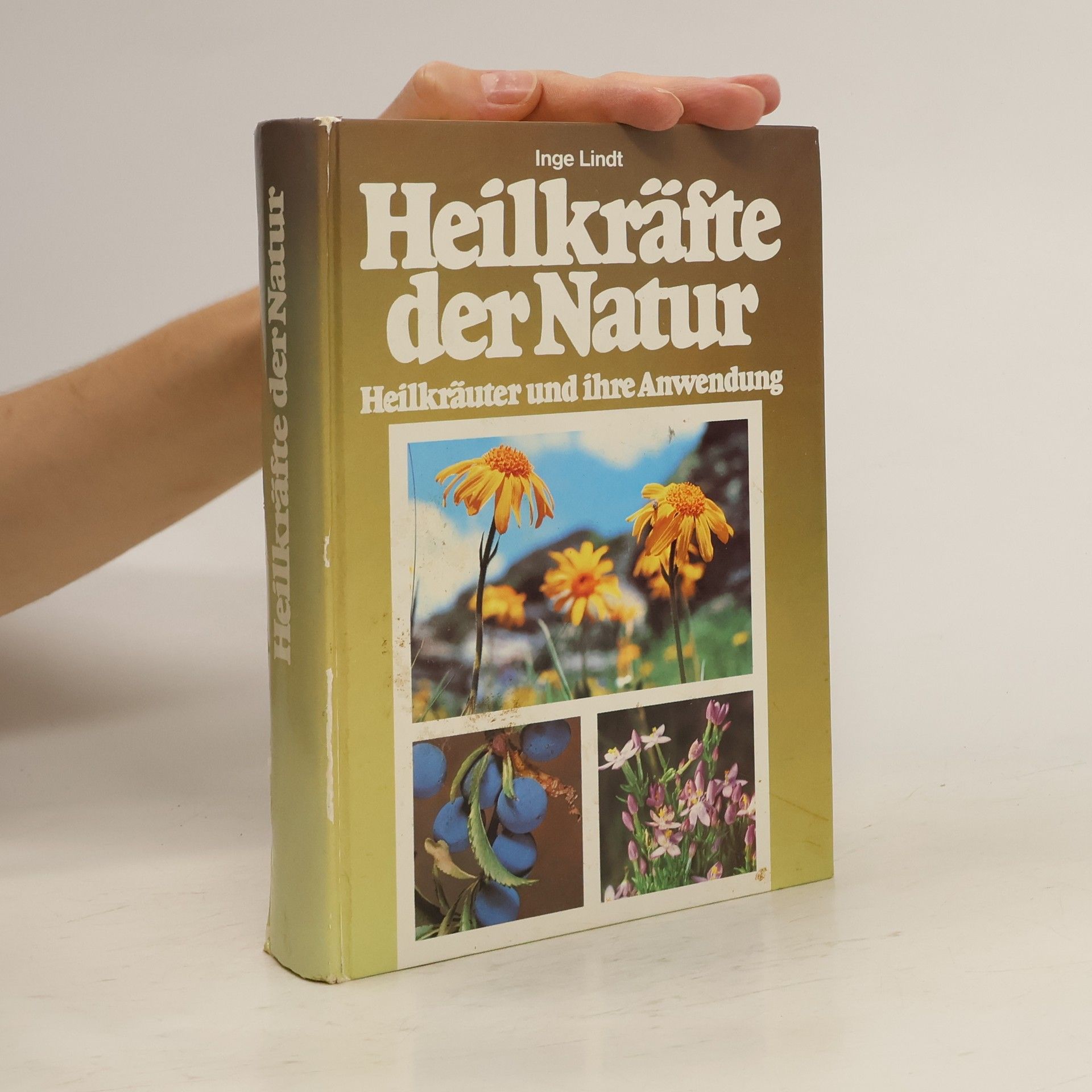 Inge Lindt Heilkräfte der Natur