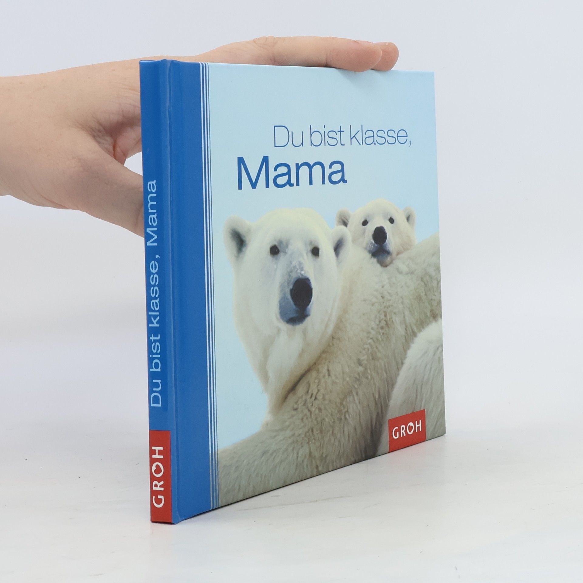 Dorothée Bleker Du bist klasse, Mama