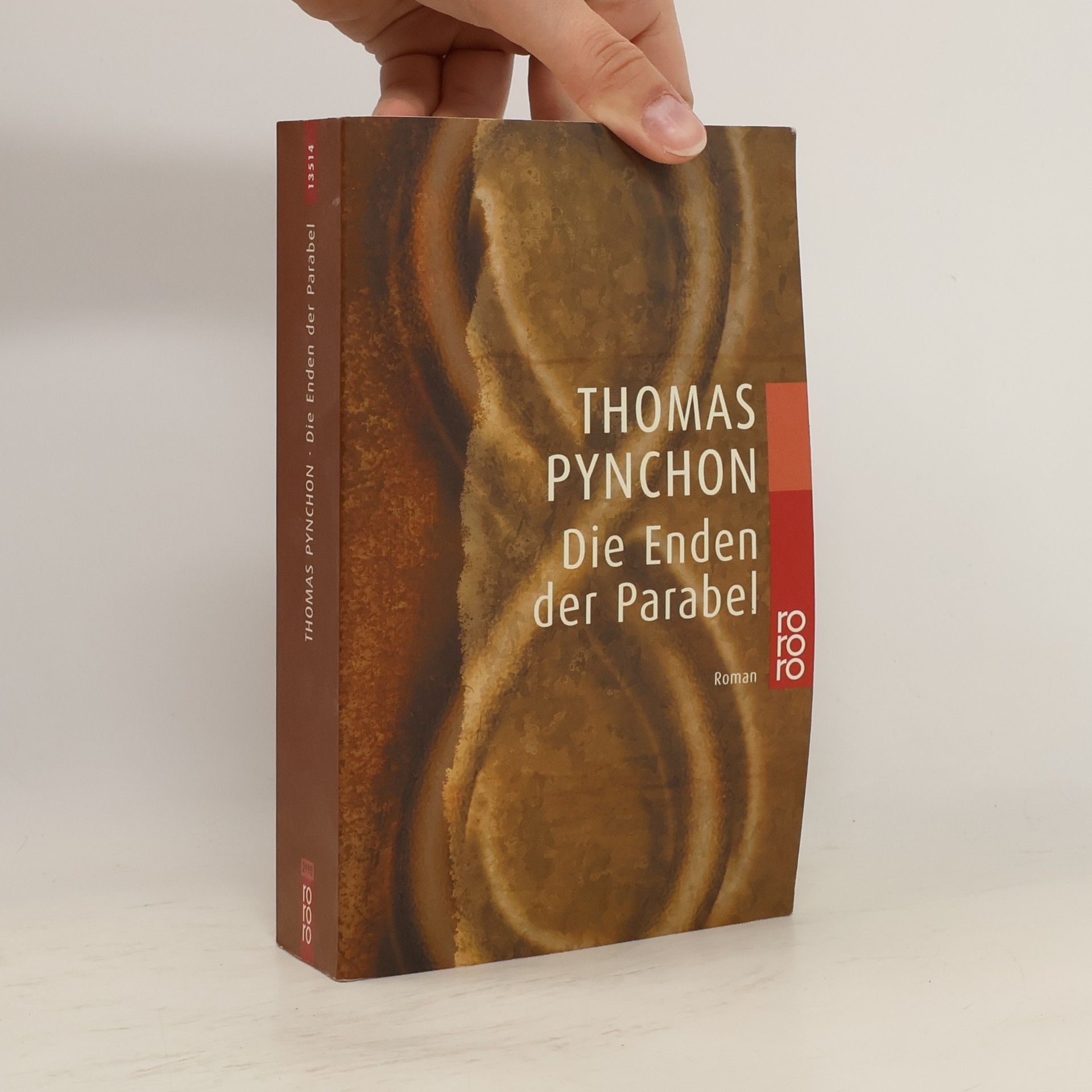 Thomas Pynchon Die Enden der Parabel