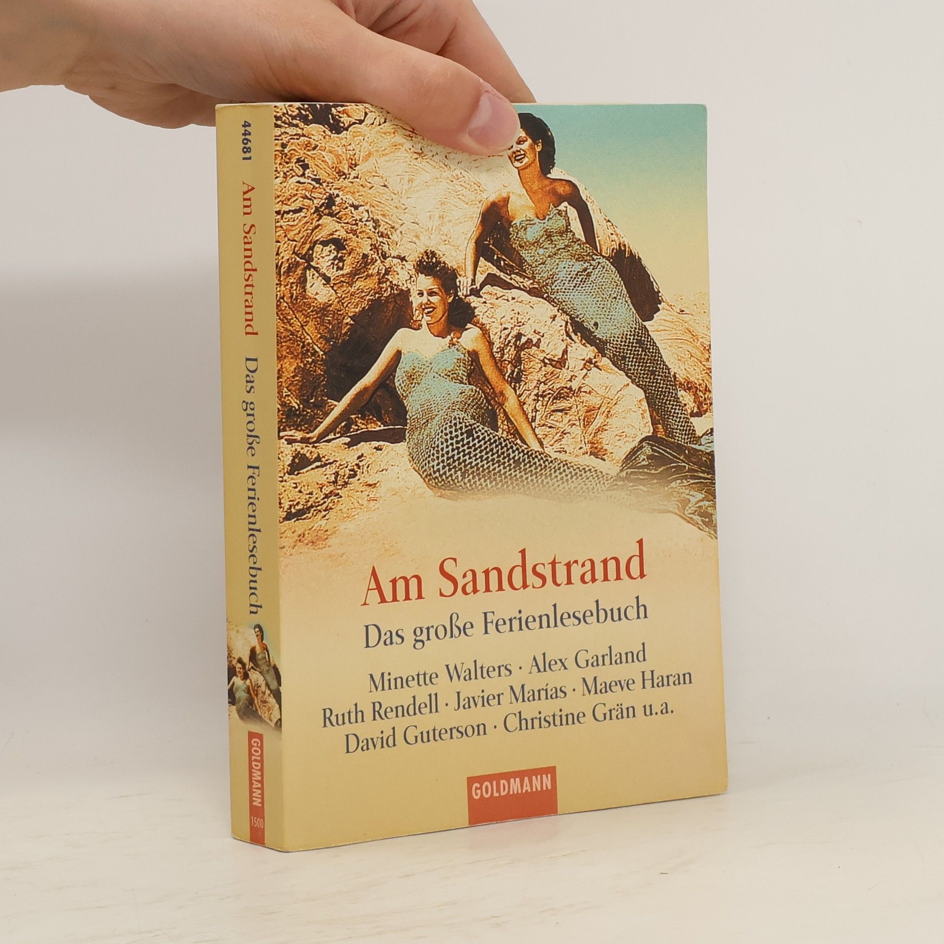 Frauke Brodd Am Sandstrand. Das große Ferienlesebuch