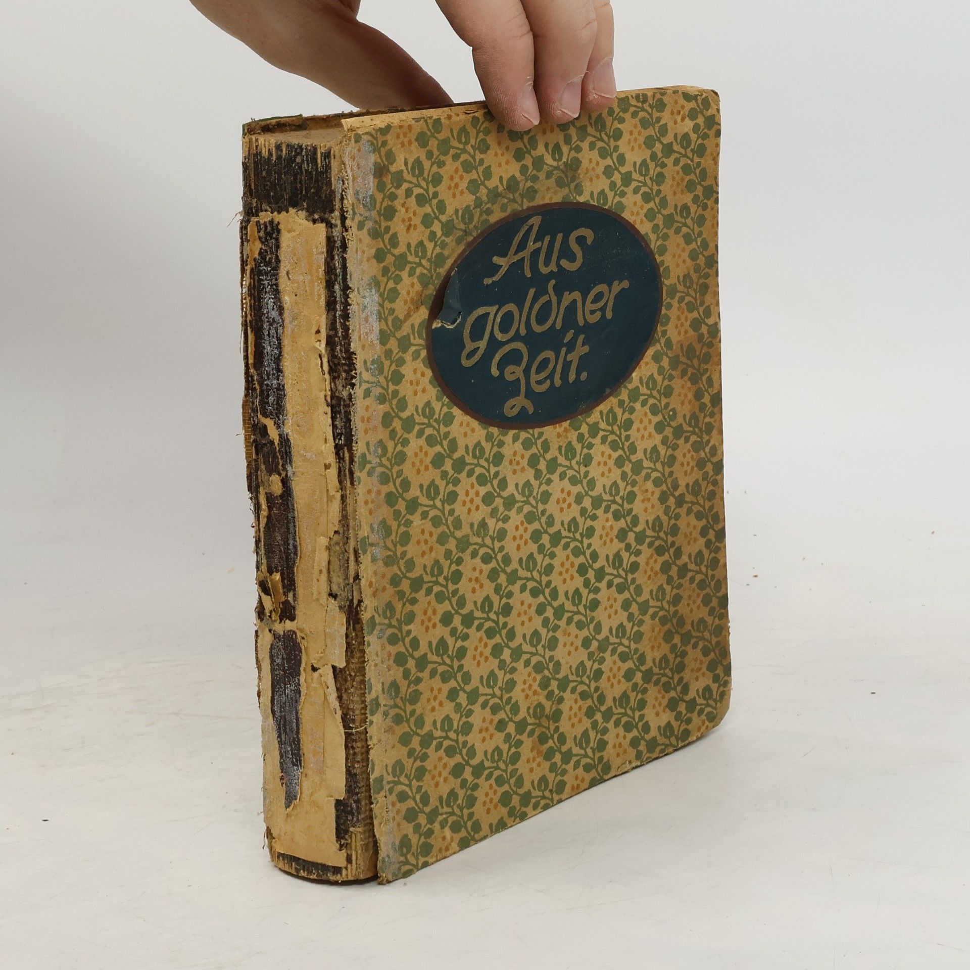 Heinrich Weitkamp Aus goldner Zeit