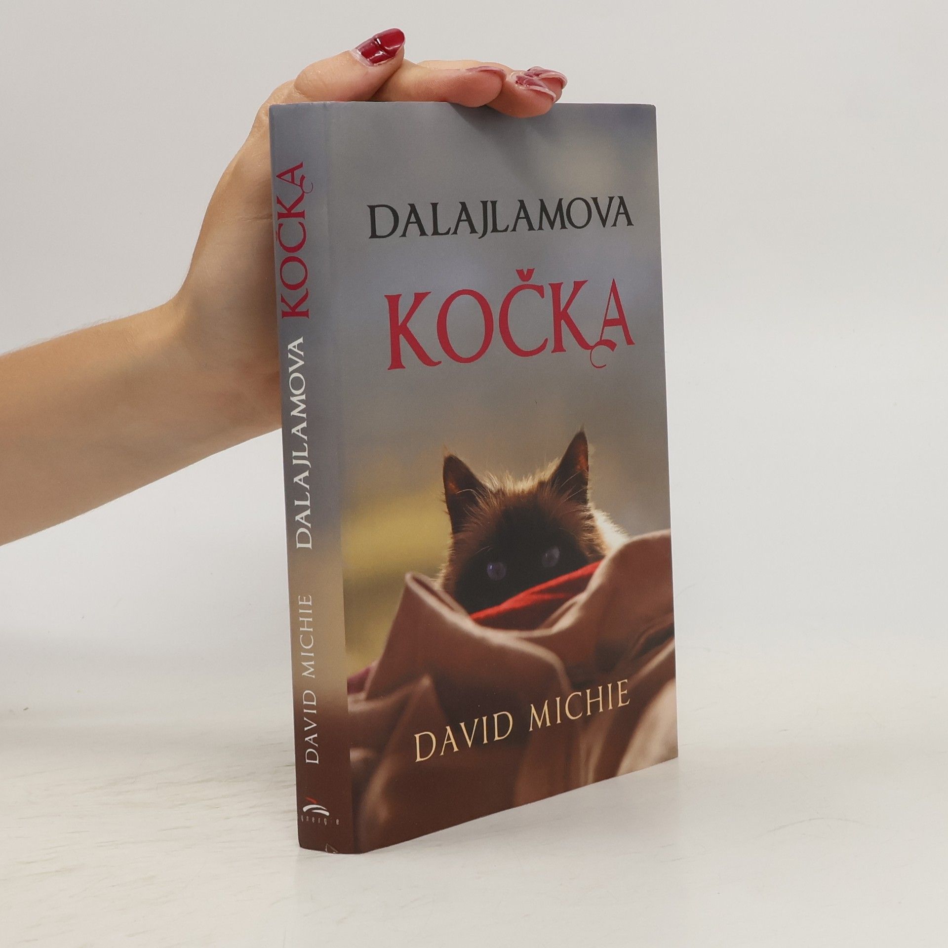 David Michie Dalajlamova kočka