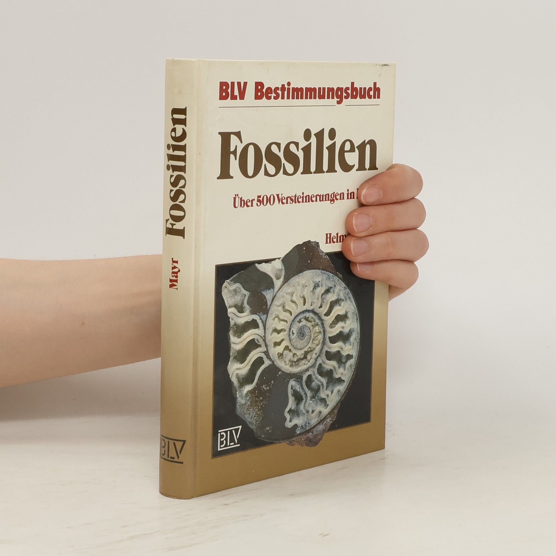 Helmut Mayr Fossilien