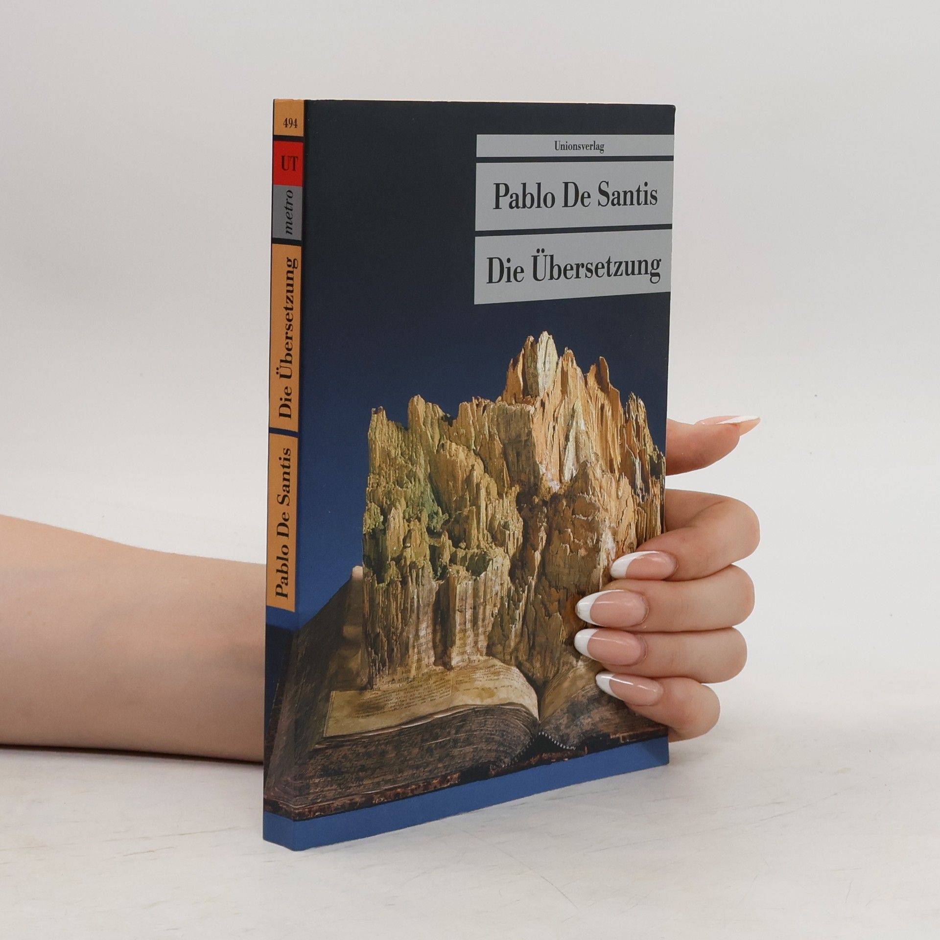 Pablo de Santis Die Übersetzung
